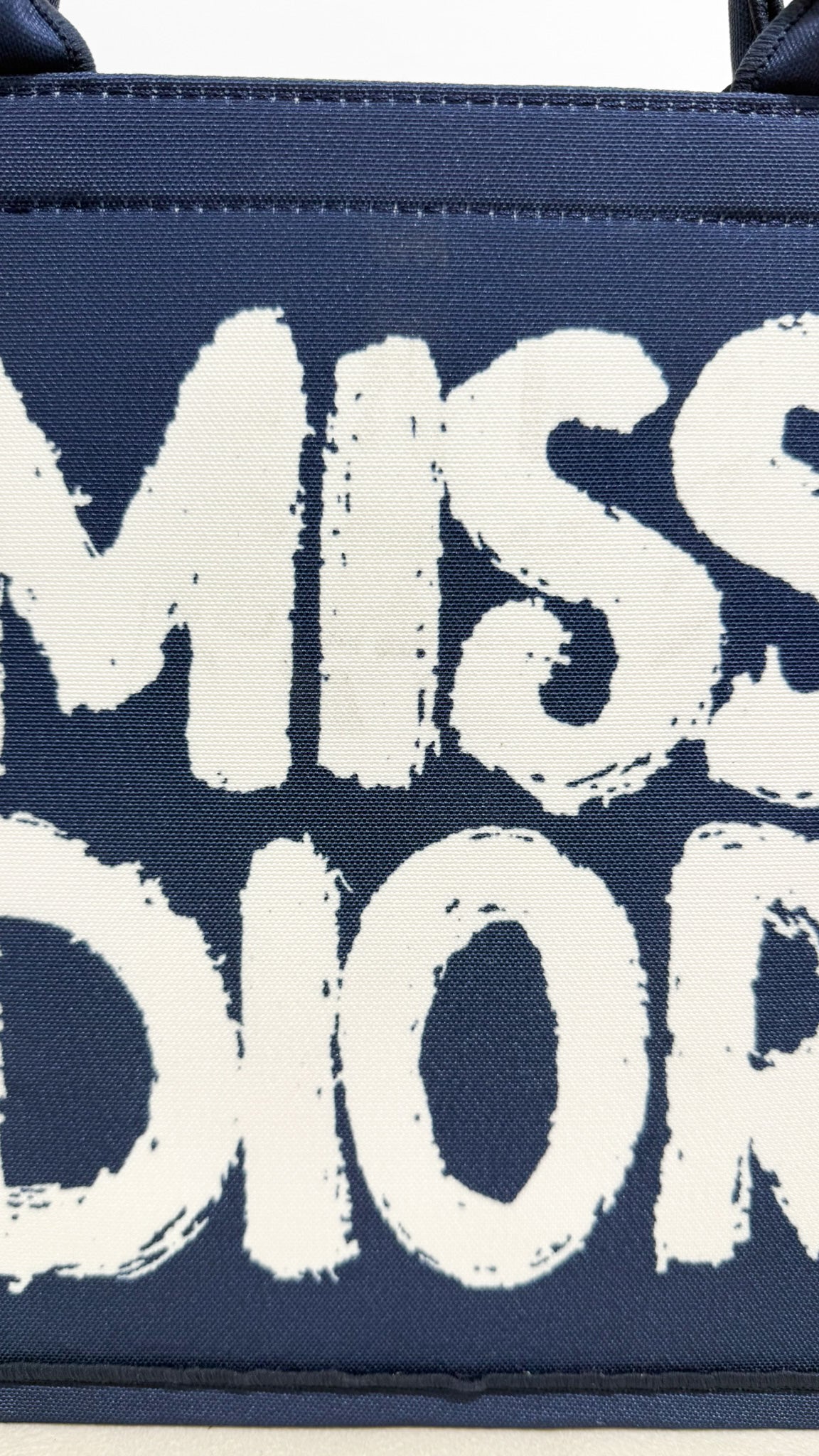 DIOR Borsa Book Tote Miss Dior blu
