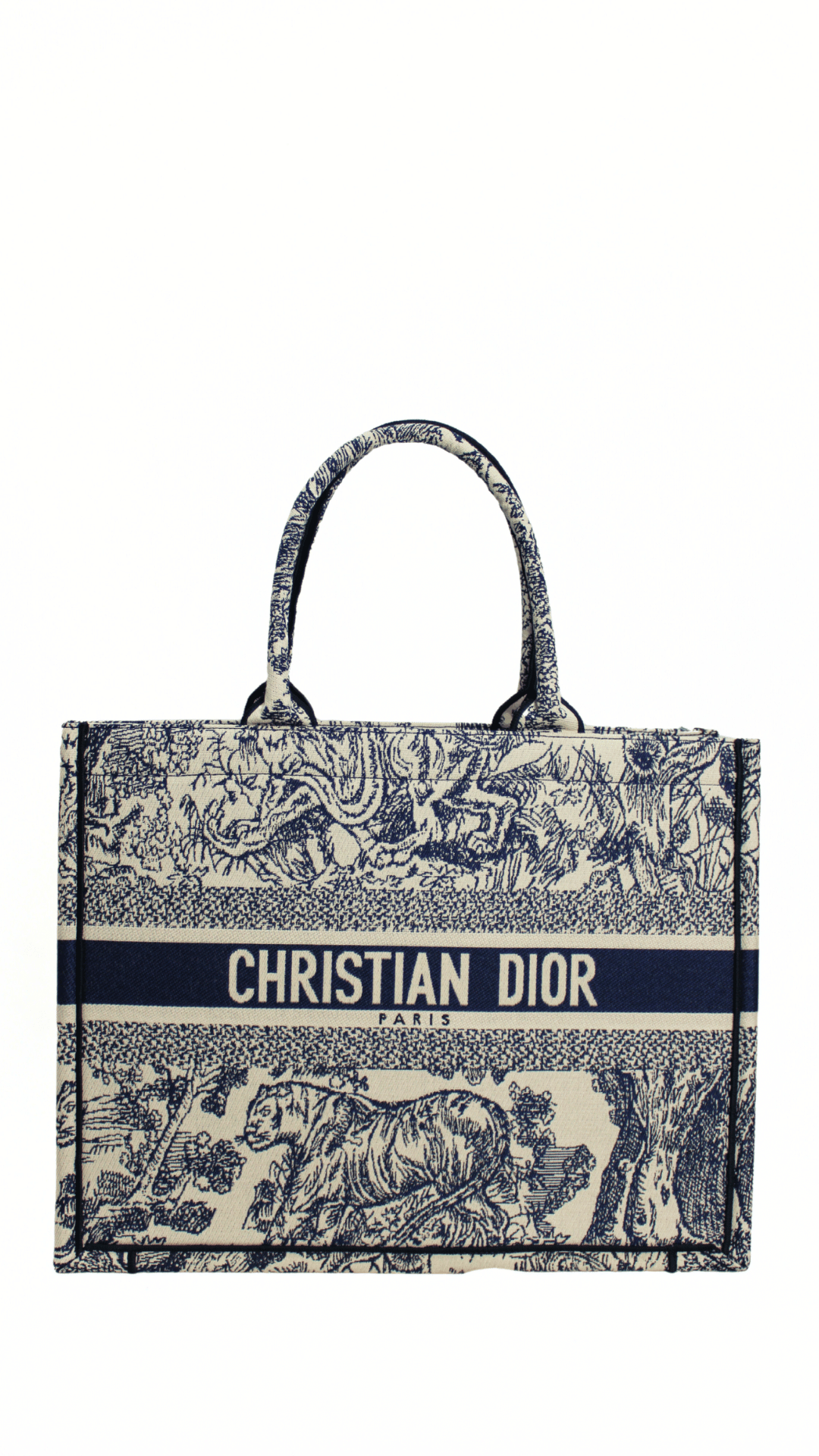 DIOR Borsa media Lady D-Lite Ricamo Plan de Paris