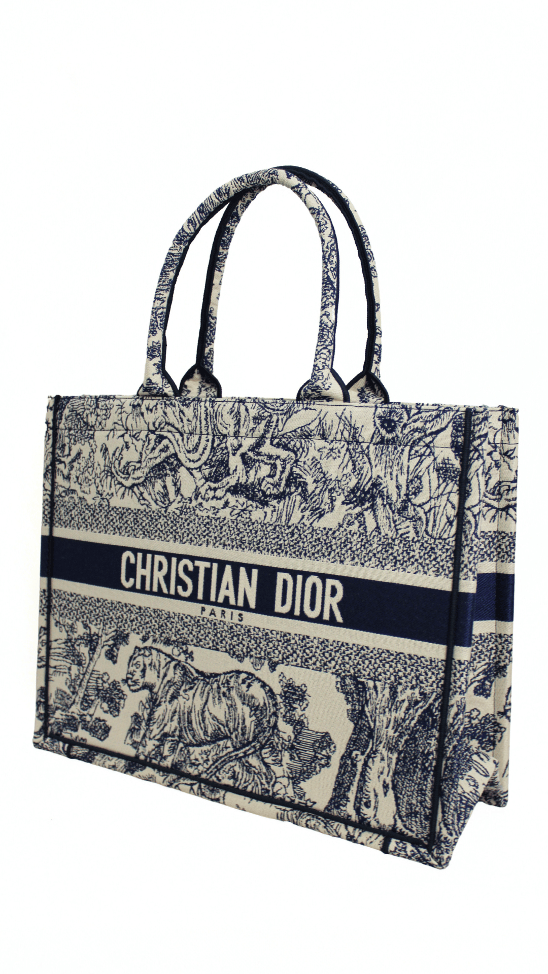 DIOR Borsa media Lady D-Lite Ricamo Plan de Paris