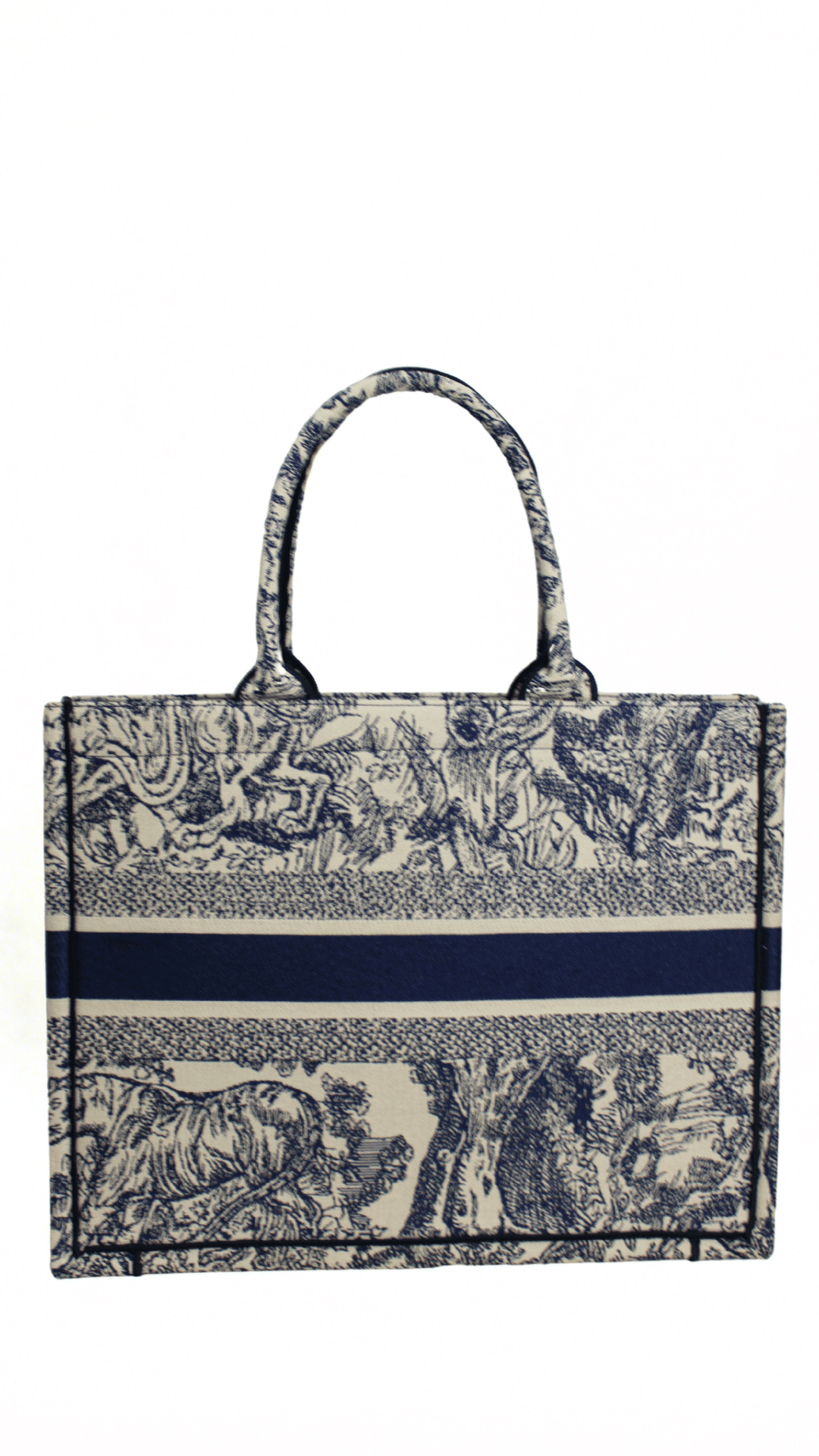 DIOR Borsa media Lady D-Lite Ricamo Plan de Paris