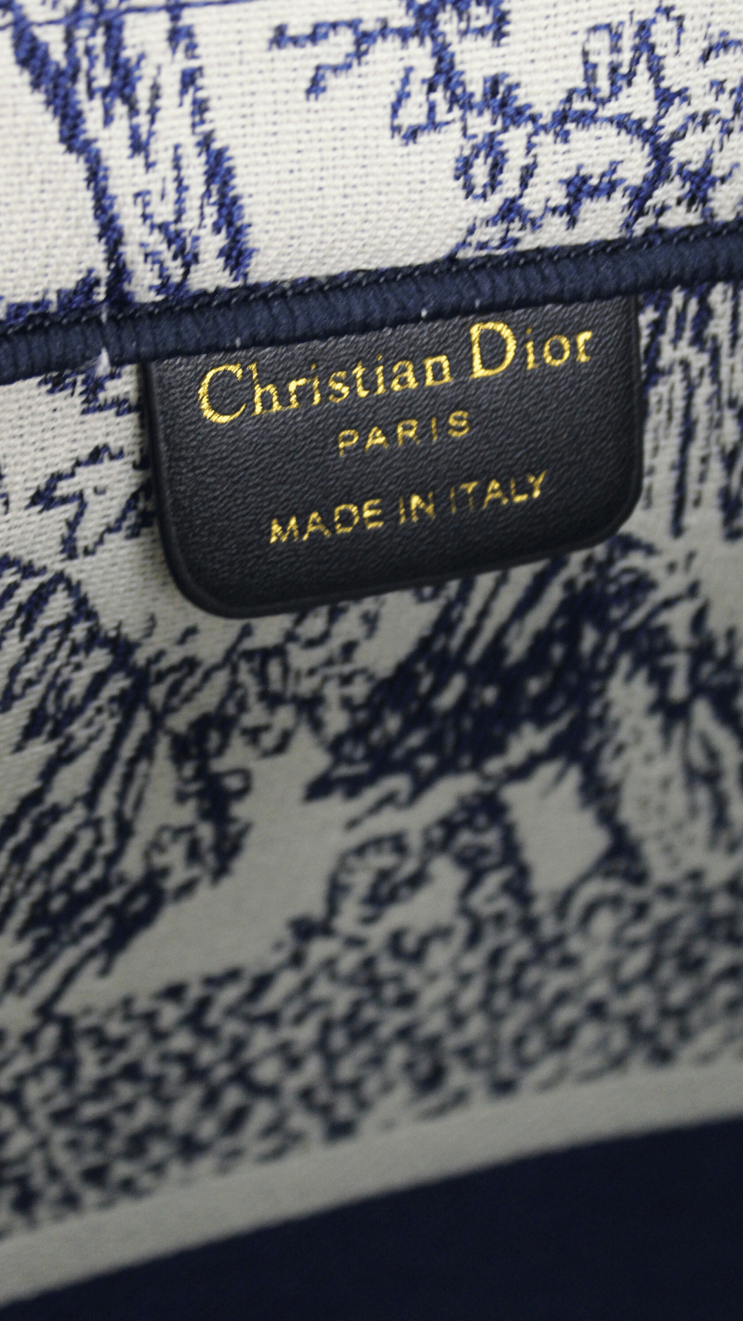 DIOR Borsa media Lady D-Lite Ricamo Plan de Paris