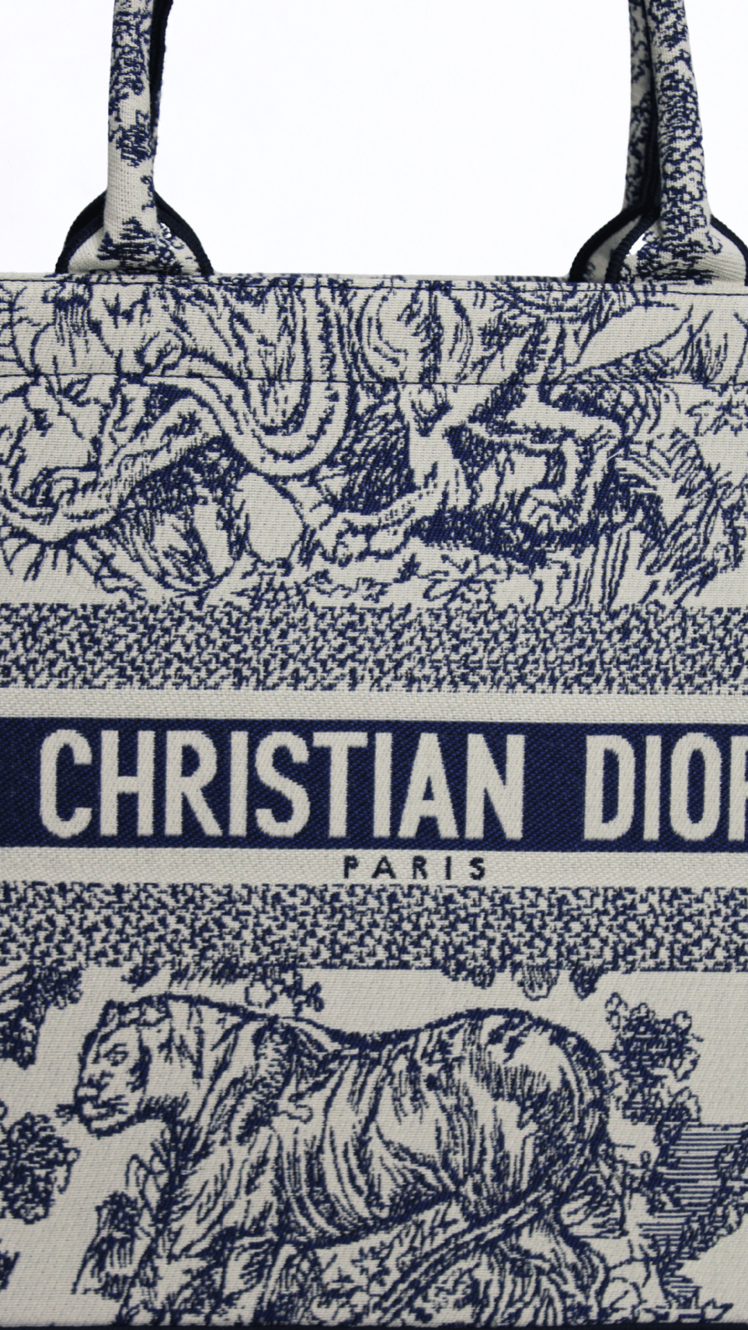 DIOR Borsa media Lady D-Lite Ricamo Plan de Paris