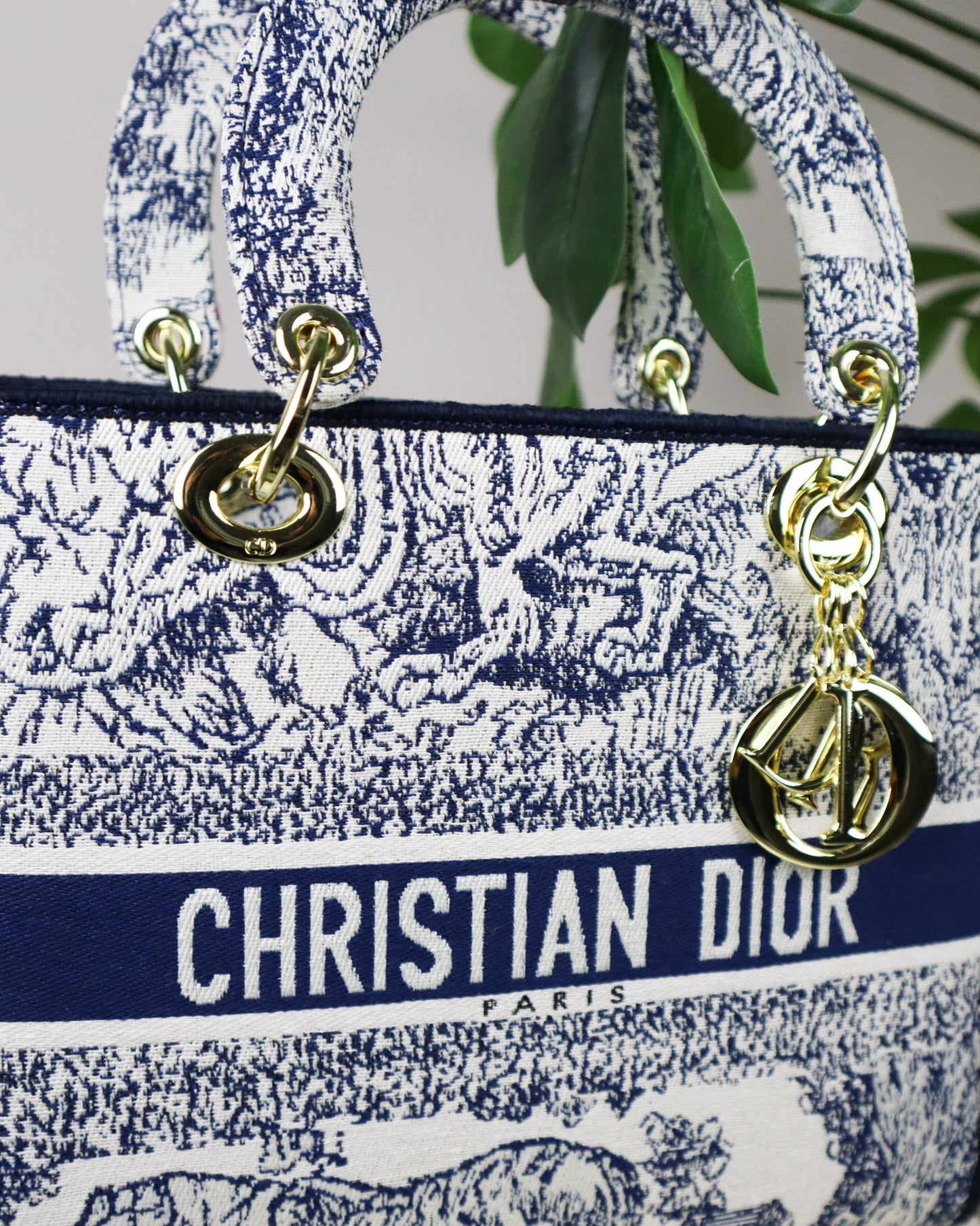 DIOR Borsa media Lady D-Lite Ricamo Plan de Paris blu