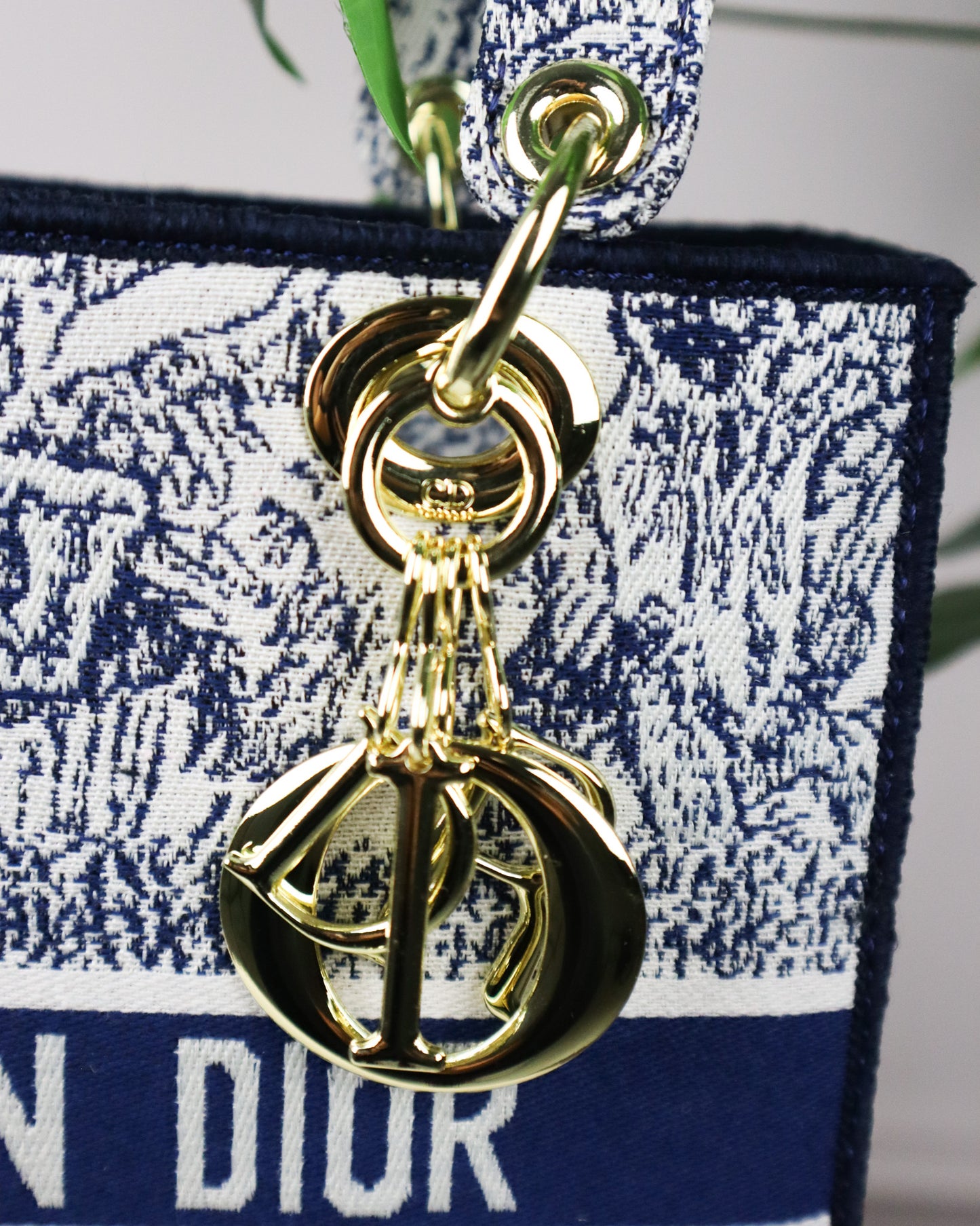 DIOR Borsa media Lady D-Lite Ricamo Plan de Paris blu