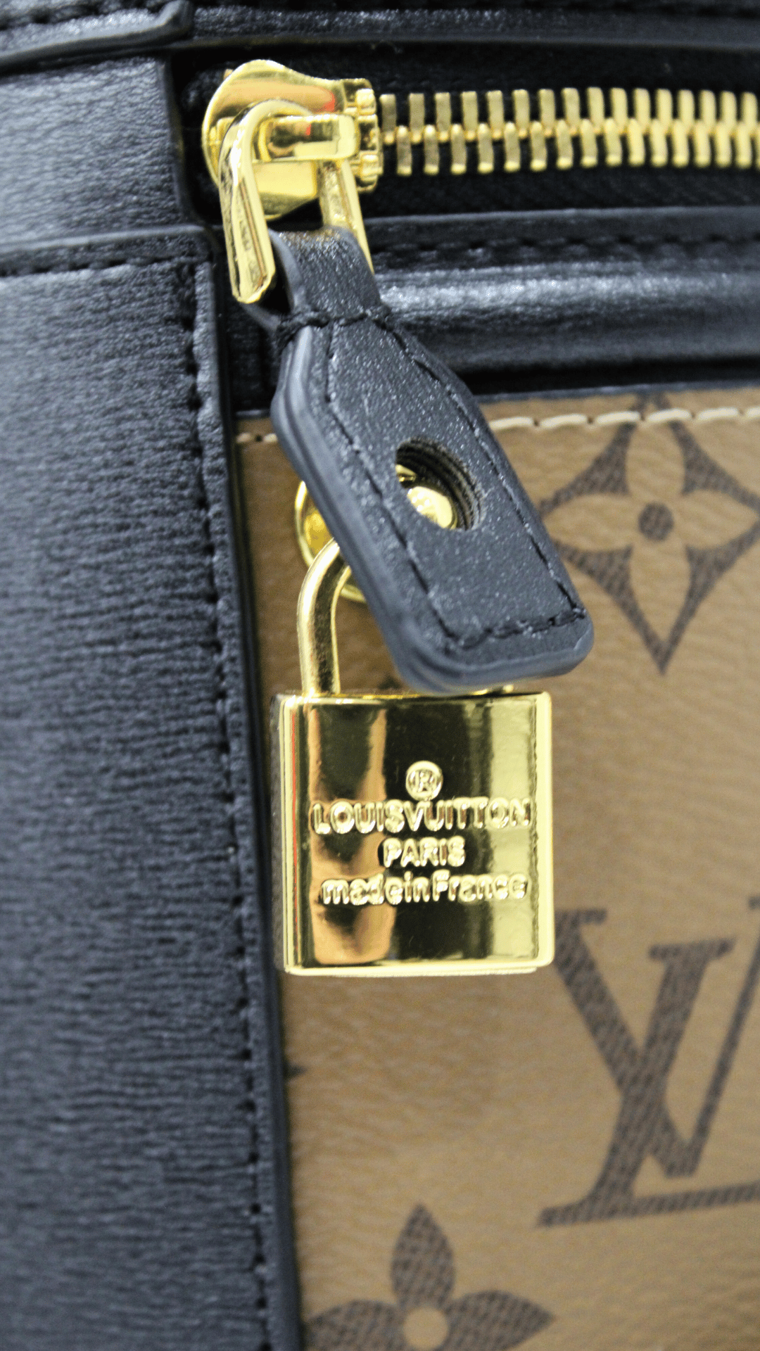 Louis Vuitton Borsa Cannes
