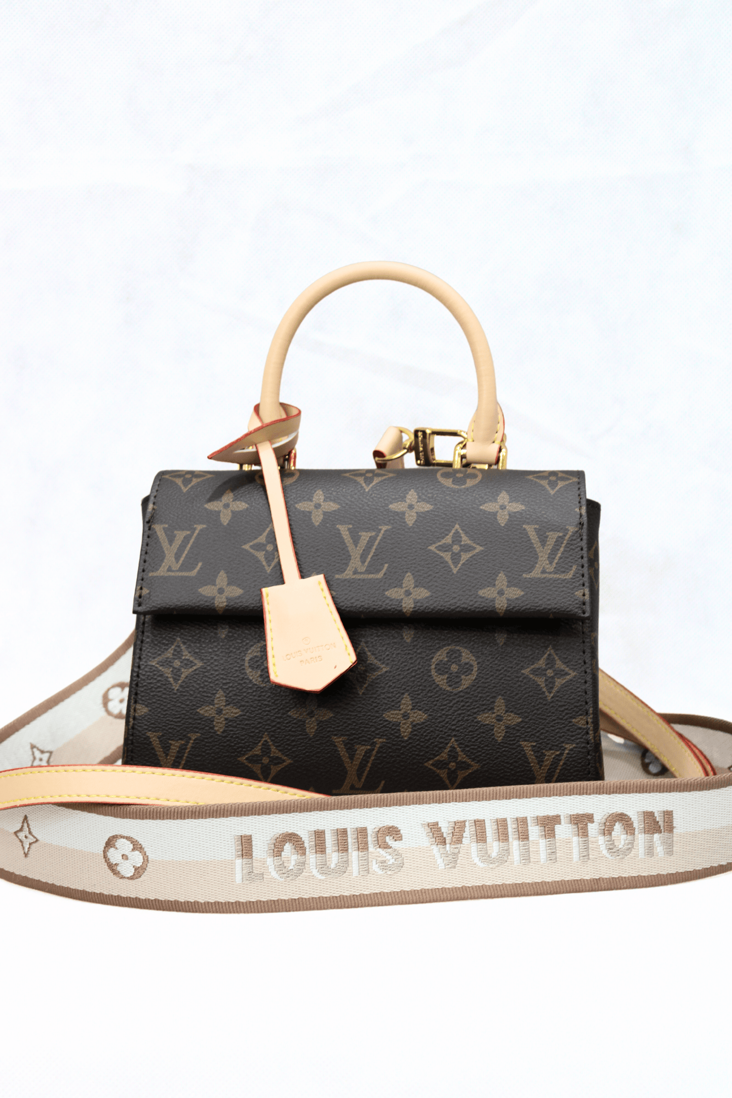 Louis Vuitton Borsa Cluny Mini Tela Monogram