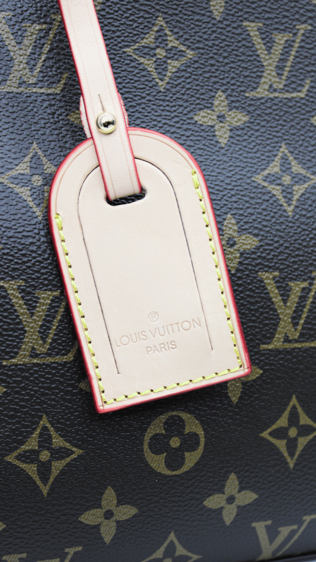 Louis Vuitton Borsa Petit Palais Tela