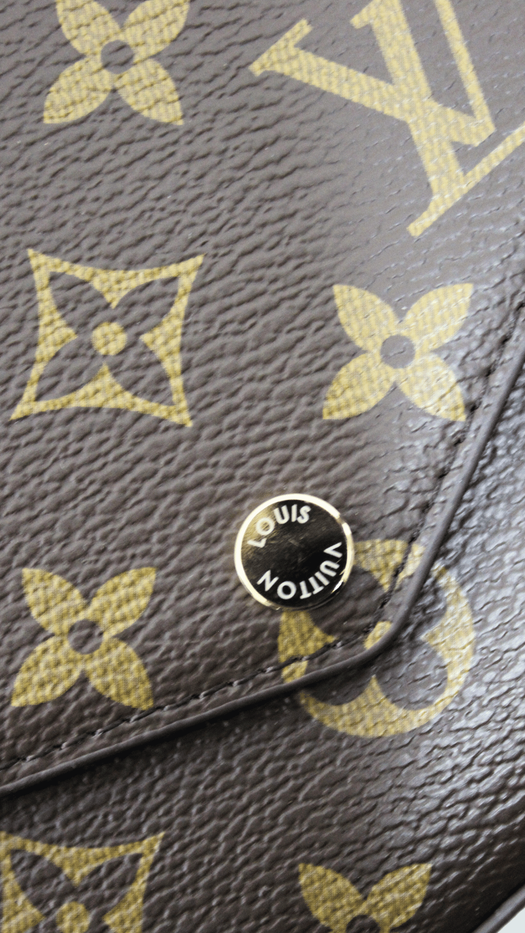 Louis Vuitton Pochette Felicie Monogram interni neri