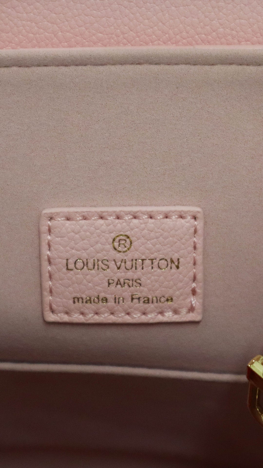 Louis Vuitton Zaino Backup rosa