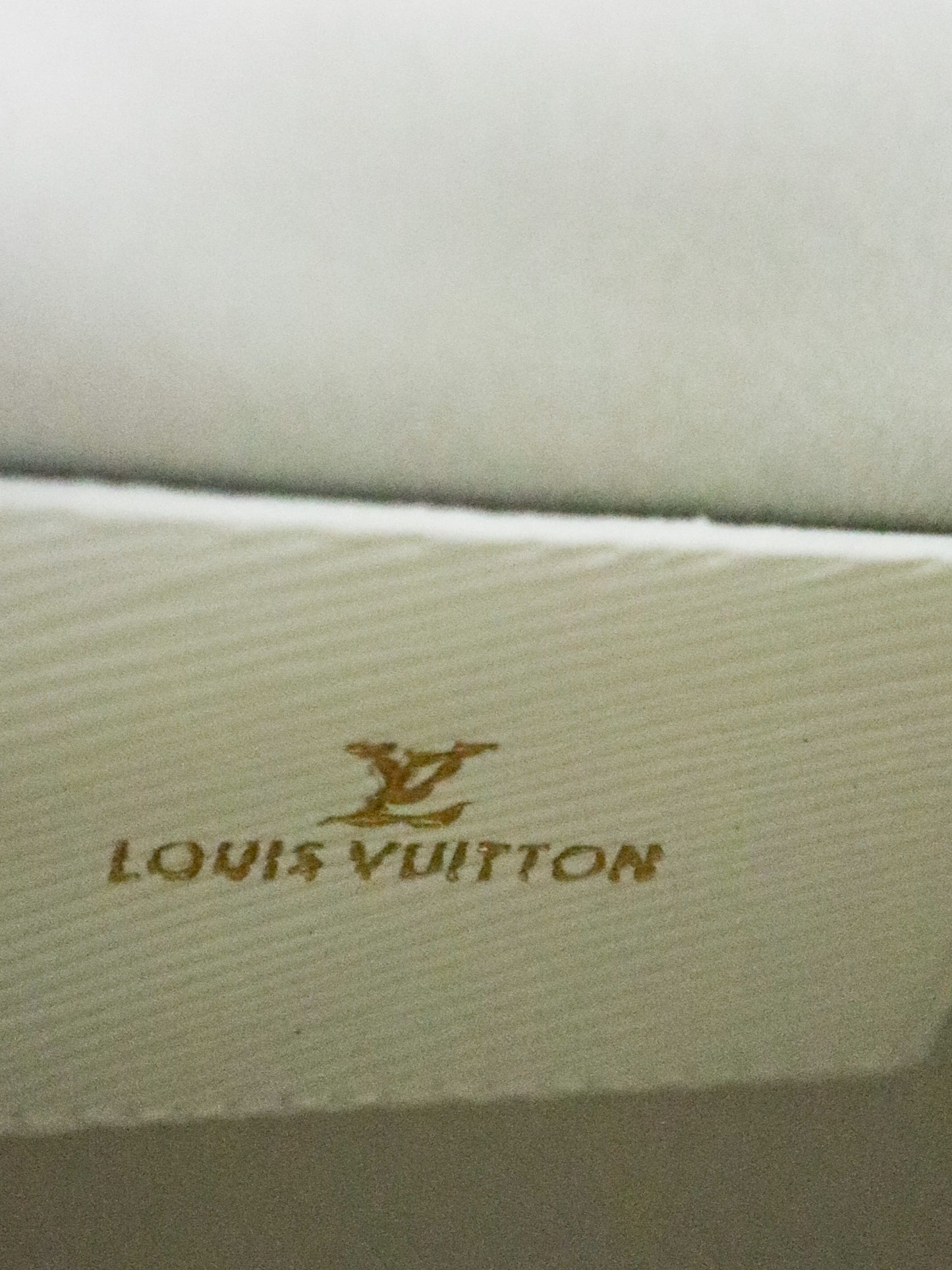 Louis Vuitton Twist MM bianca