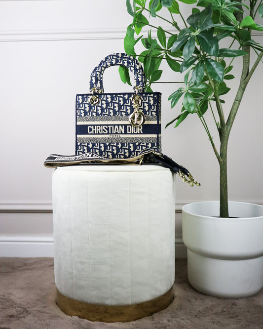 DIOR Borsa media Lady D-Lite Ricamo Plan de Paris blu e beige