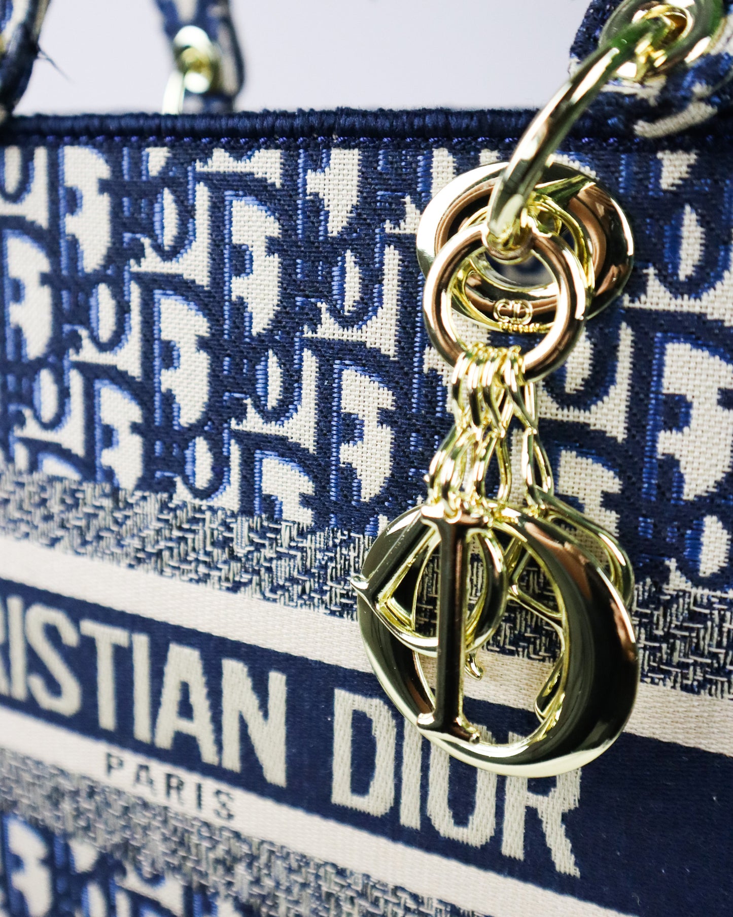 DIOR Borsa media Lady D-Lite Ricamo Plan de Paris blu e beige