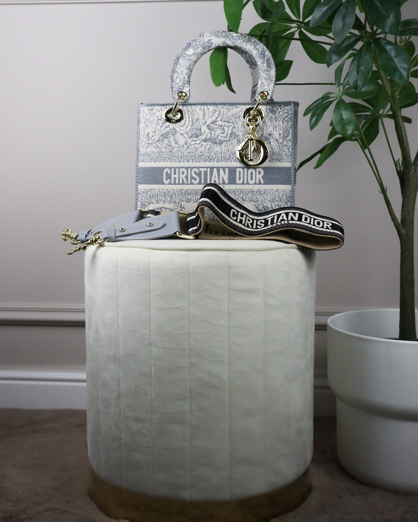 DIOR Borsa media Lady D-Lite Ricamo Plan de Paris celeste