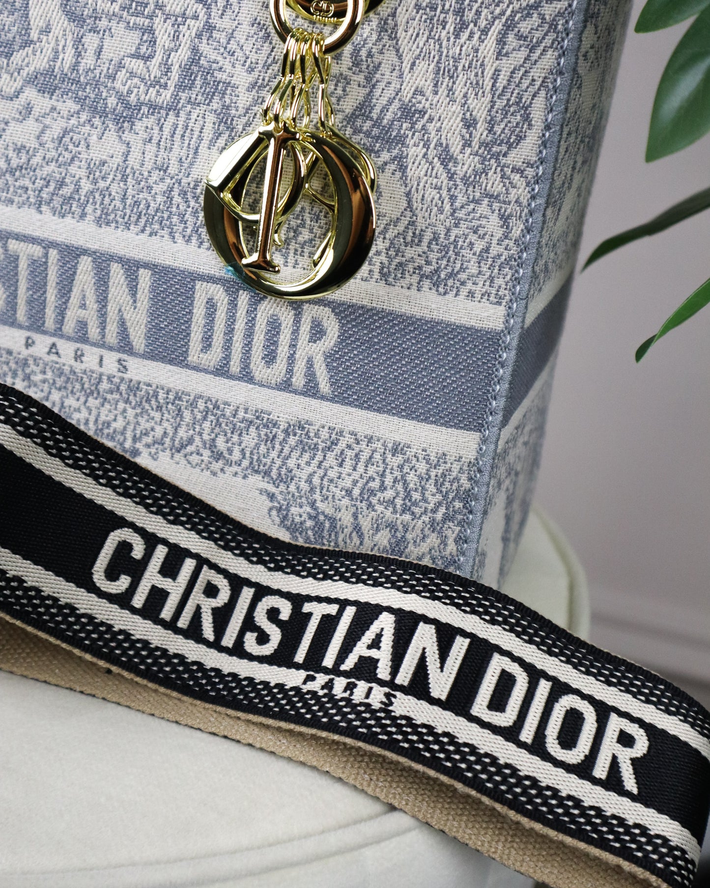 DIOR Borsa media Lady D-Lite Ricamo Plan de Paris celeste