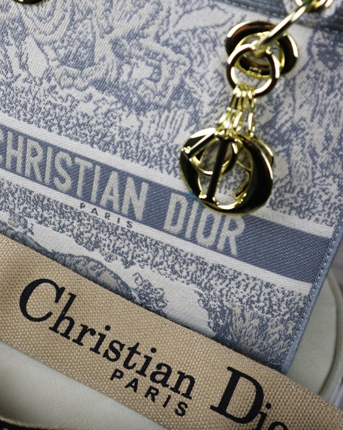 DIOR Borsa media Lady D-Lite Ricamo Plan de Paris celeste