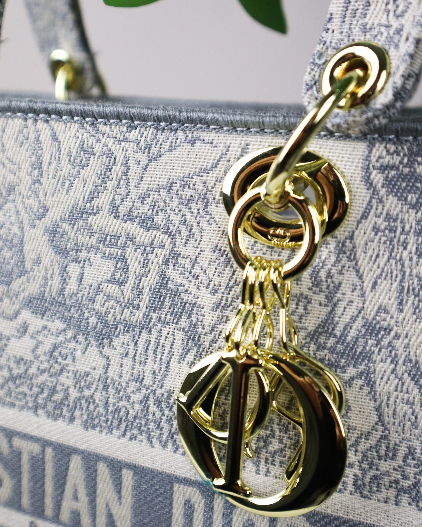 DIOR Borsa media Lady D-Lite Ricamo Plan de Paris celeste