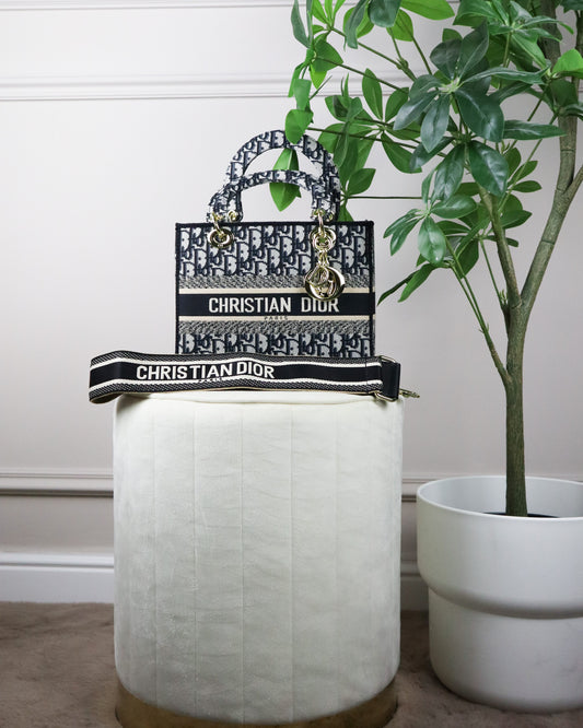 DIOR Borsa media Lady D-Lite Ricamo Plan de Paris nera