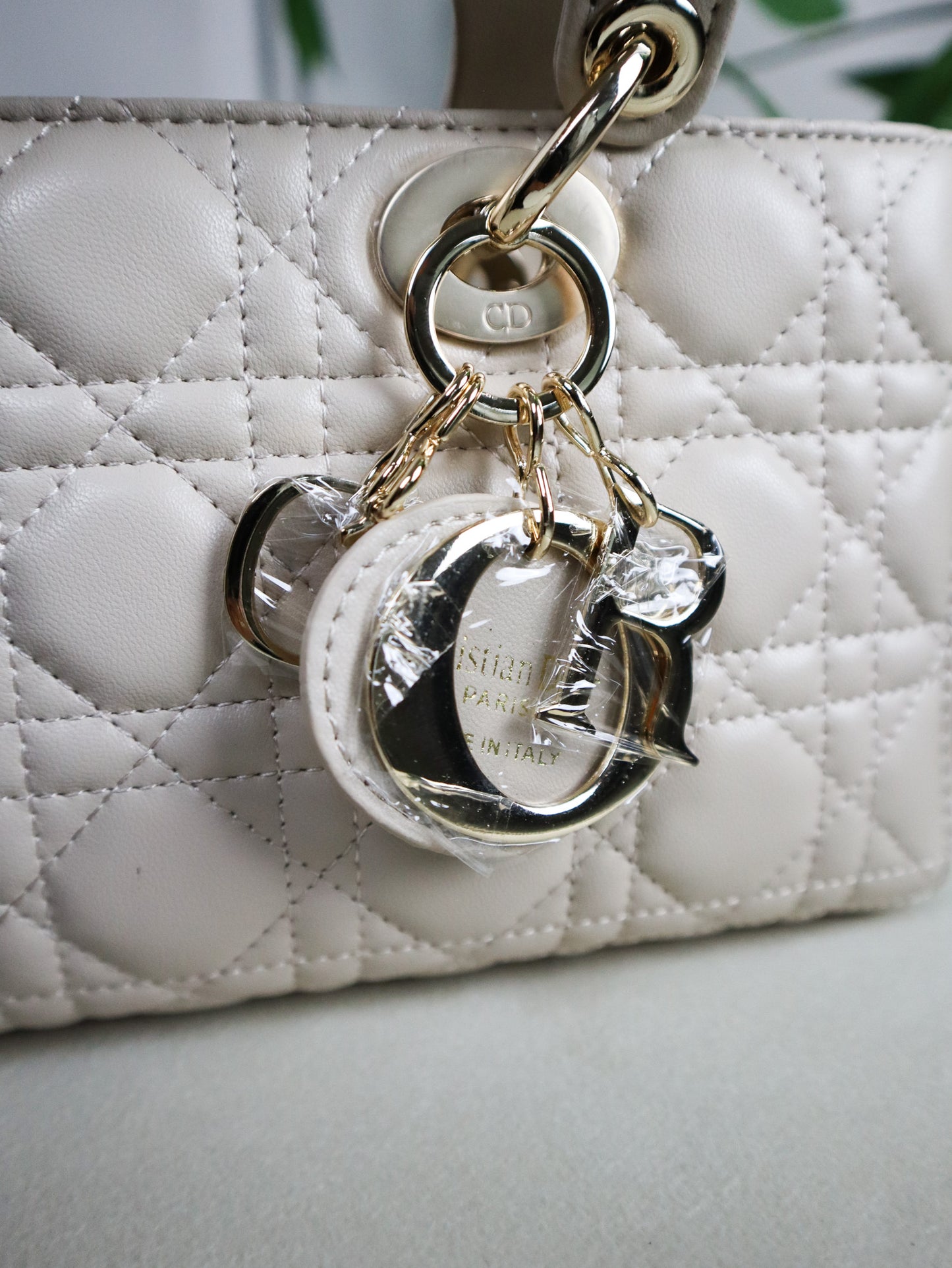 DIOR Borsa piccola Lady D-Joy beige