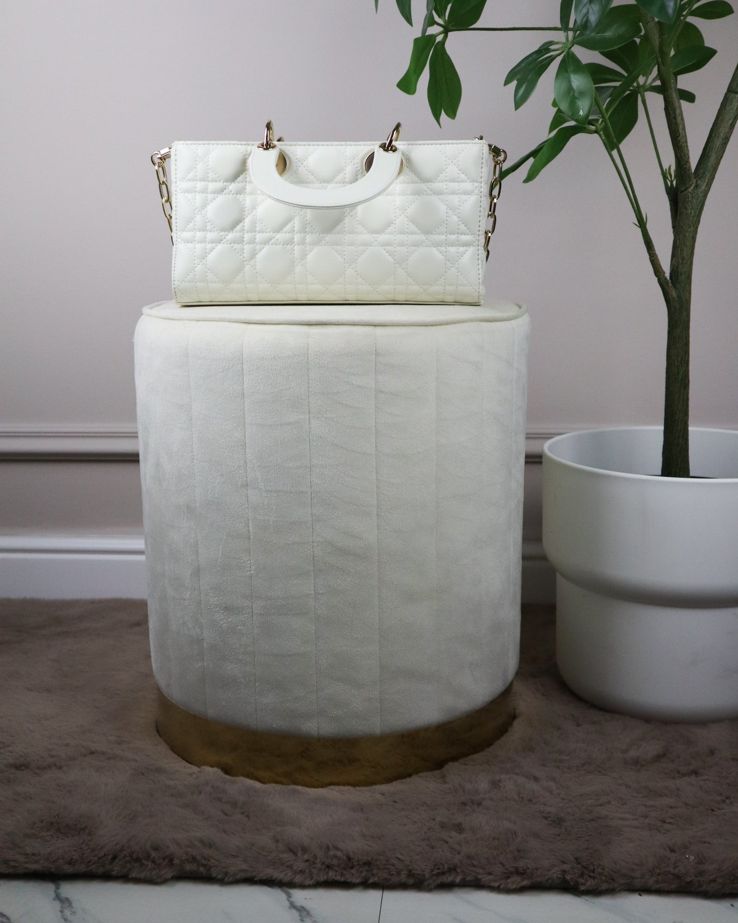 DIOR Borsa piccola Lady D-Joy bianca