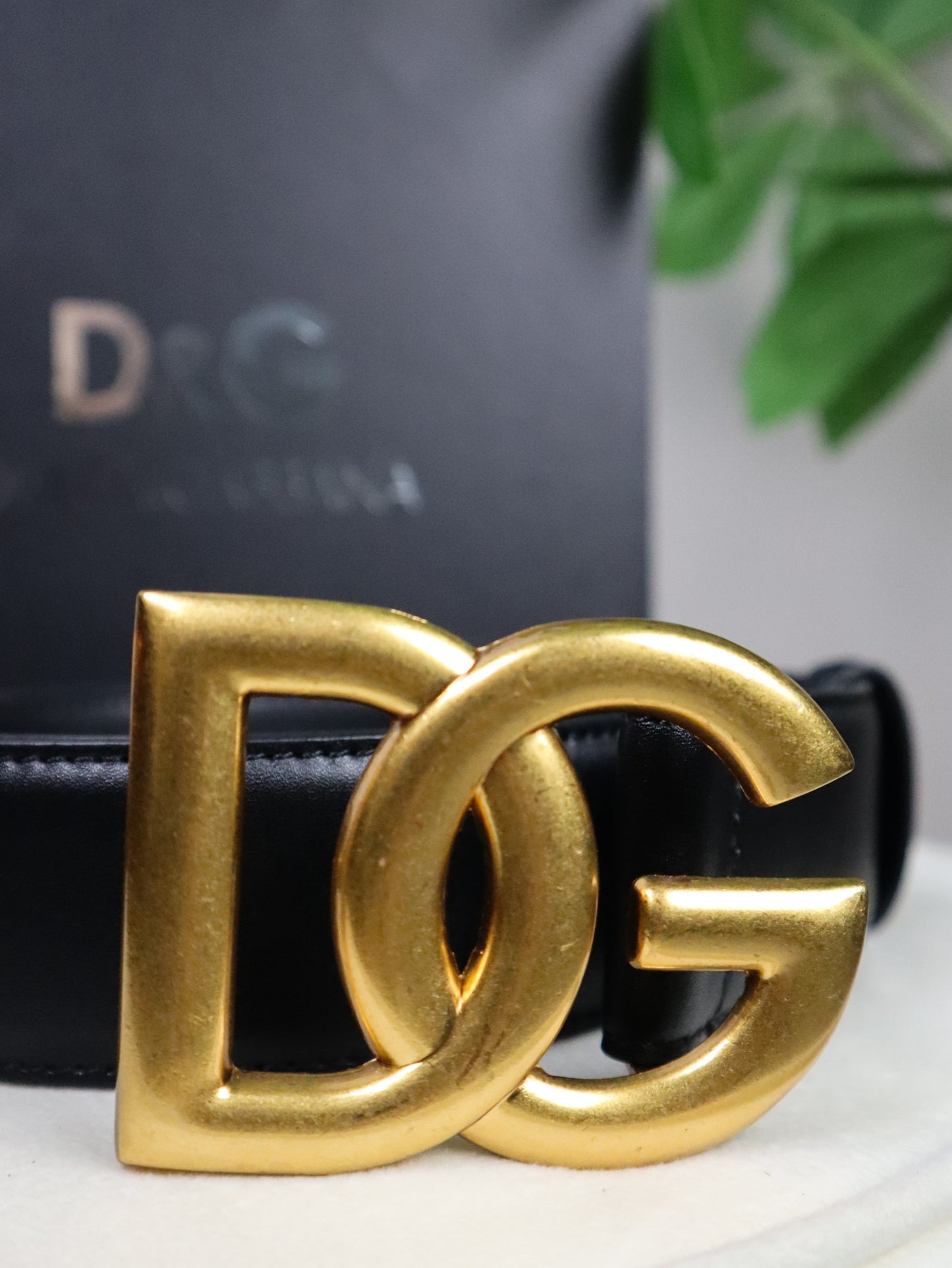 D&G Cintura fibbia oro