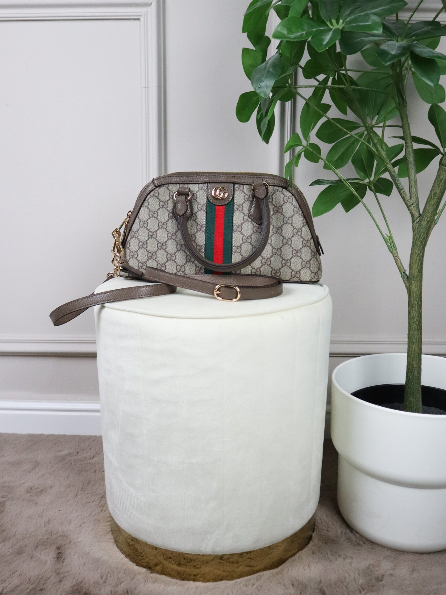 GUCCI Borsa a mano Ophidia piccola