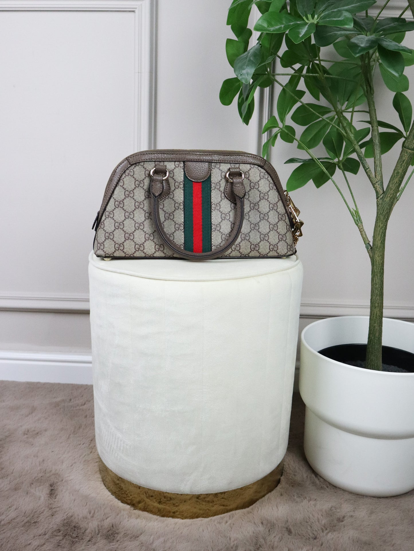 GUCCI Borsa a mano Ophidia piccola