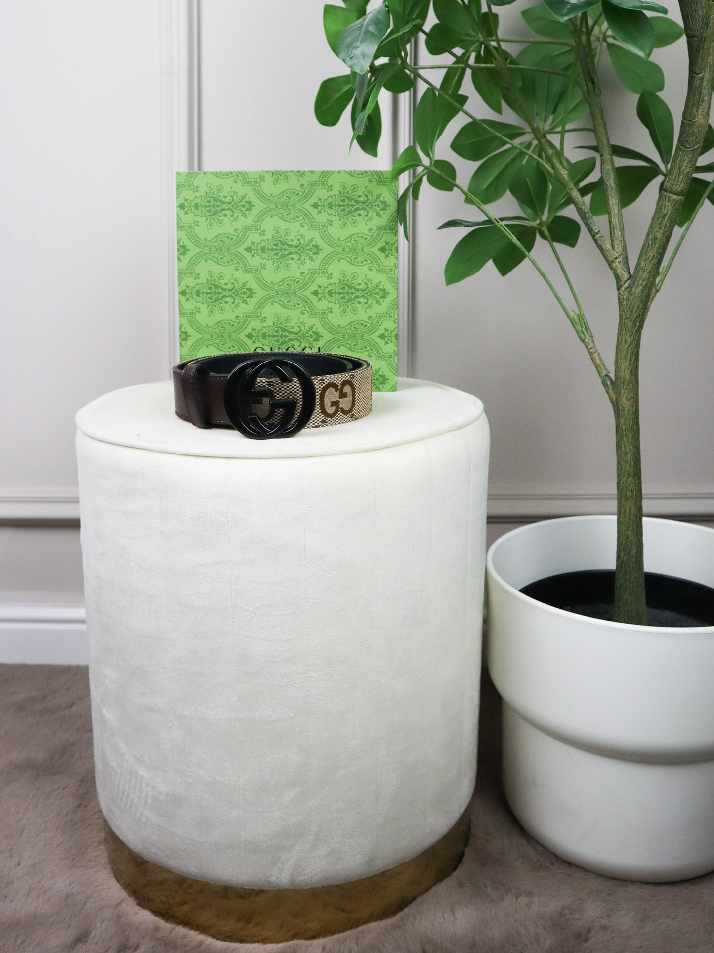 GUCCI Cintura GG Marmont beige con stampa GG Supreme