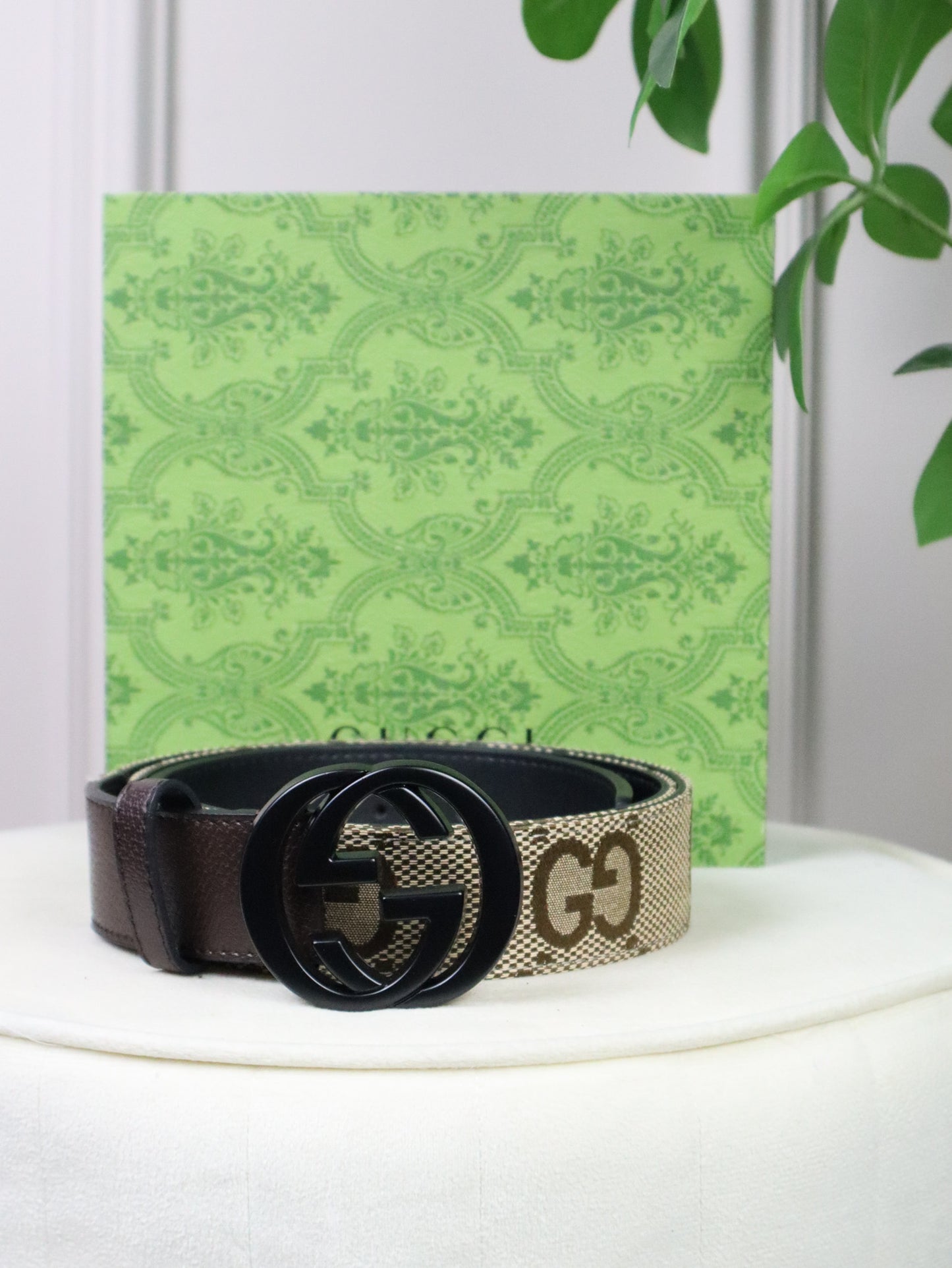 GUCCI Cintura GG Marmont beige con stampa GG Supreme