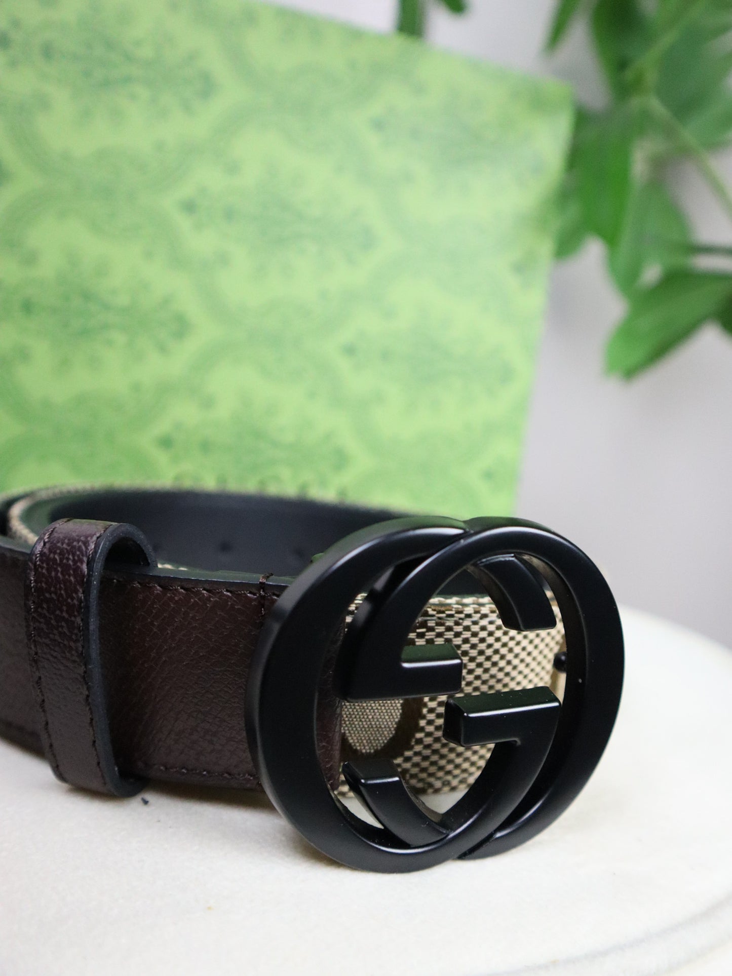 GUCCI Cintura GG Marmont beige con stampa GG Supreme