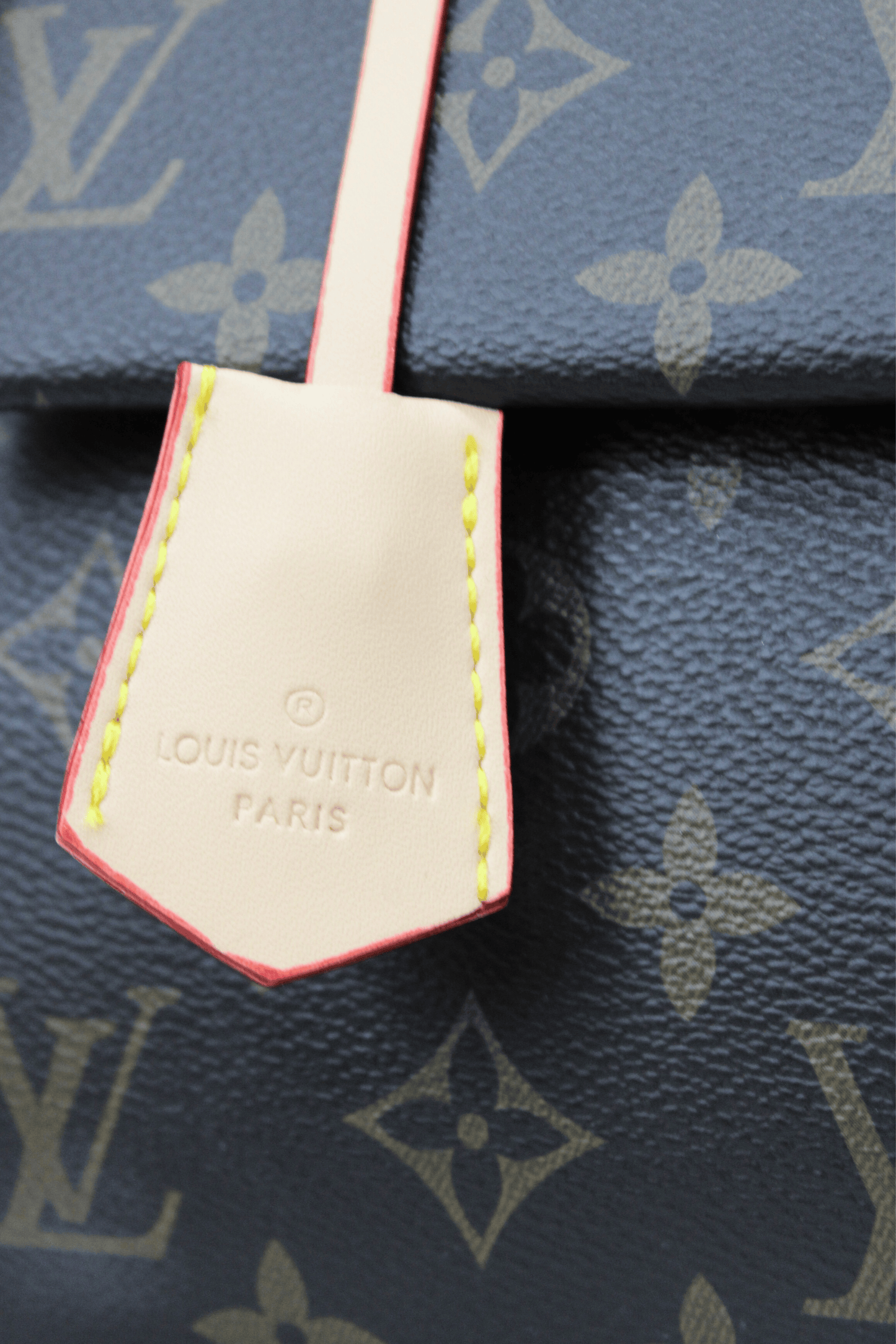 Louis Vuitton Borsa Cluny Mini Tela Monogram
