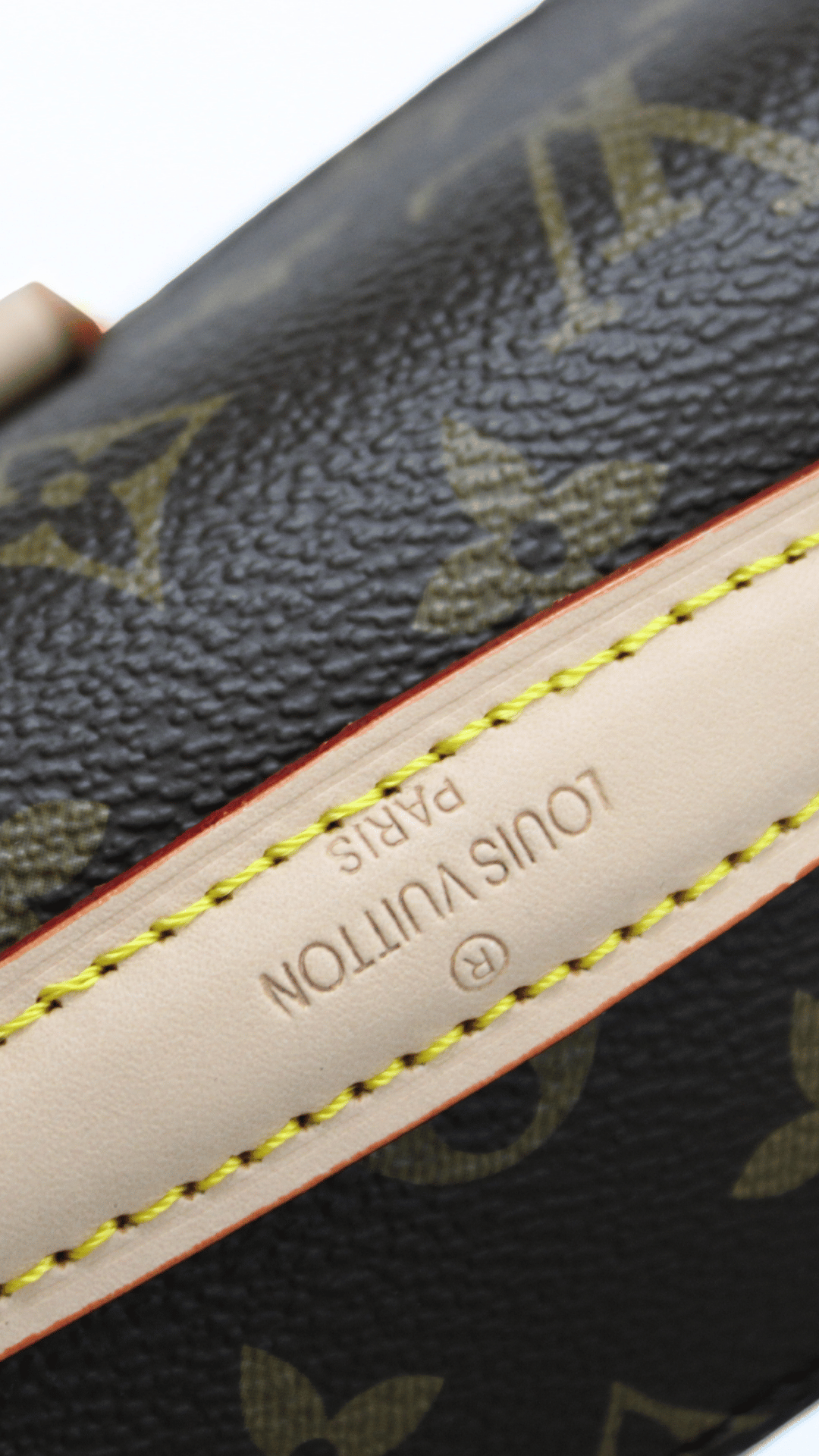 Louis Vuitton Pochette Métis marrone