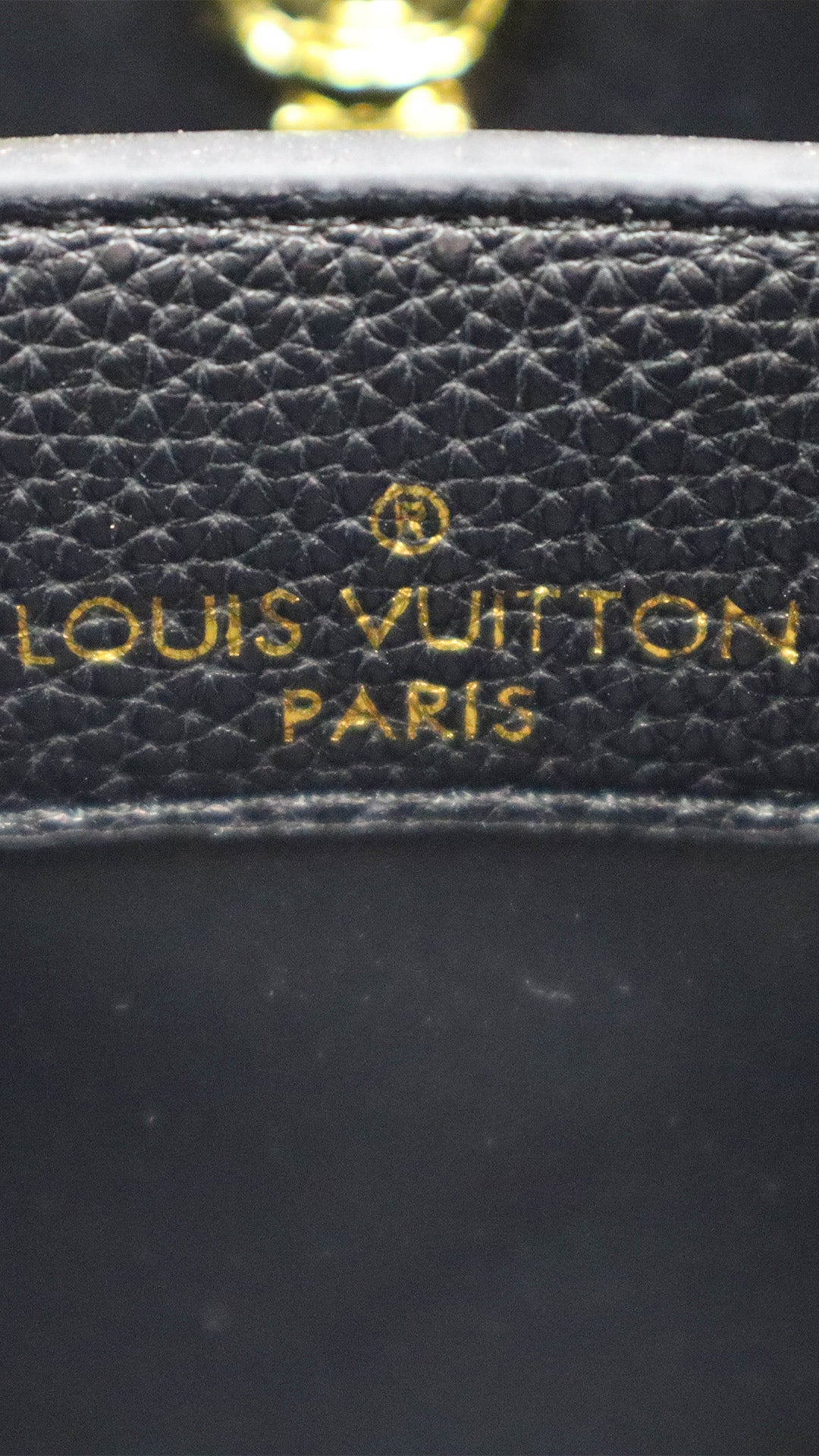 Louis Vuitton Taurillon Embellished Flower Handle Capucines nera