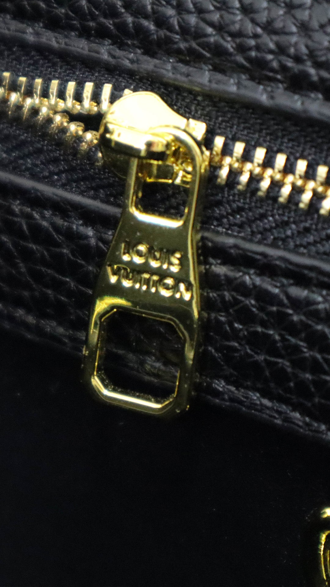 Louis Vuitton Taurillon Embellished Flower Handle Capucines nera