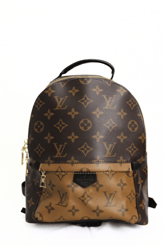 Louis Vuitton Zaino Palm Springs Monogram Reverse PM Brown