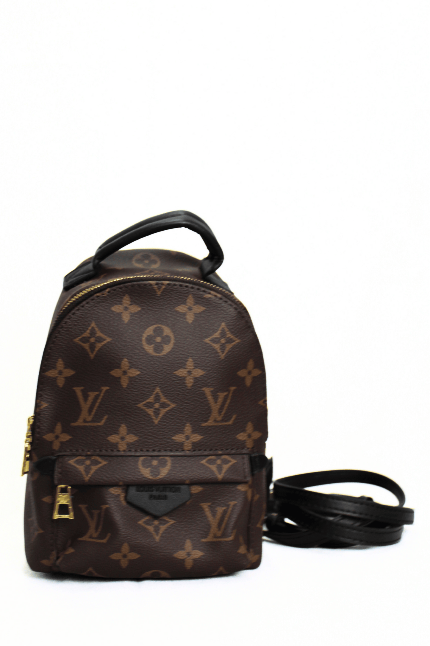 Louis Vuitton Zaino Palm Springs Monogramma PM Marrone