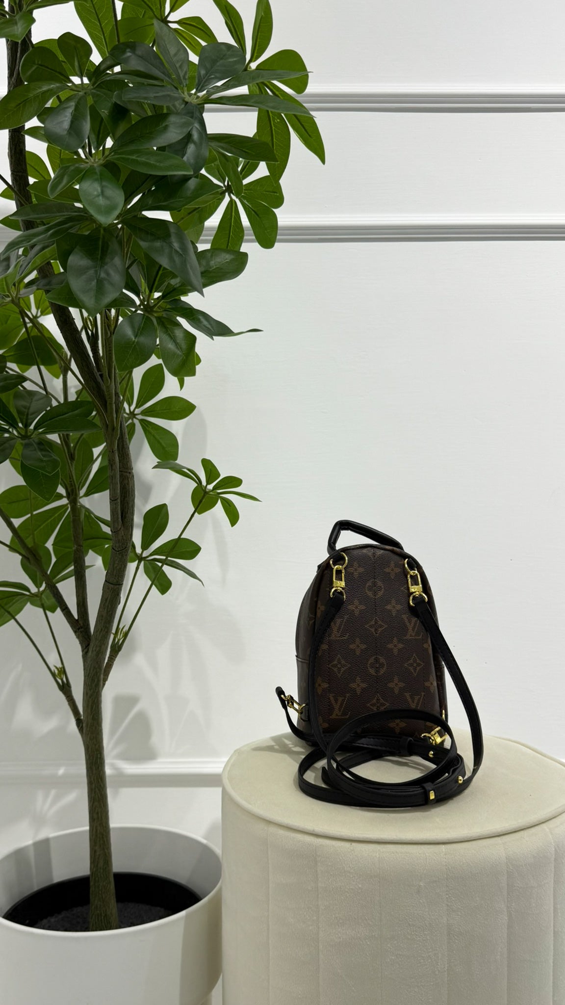 Louis Vuitton Zaino Palm Springs Monogramma PM Marrone