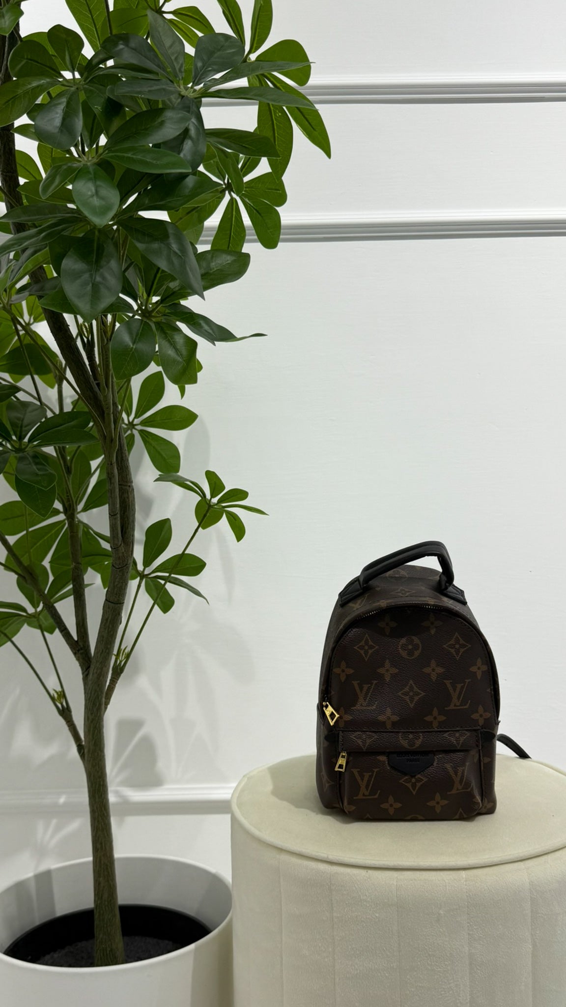 Louis Vuitton Zaino Palm Springs Monogramma PM Marrone