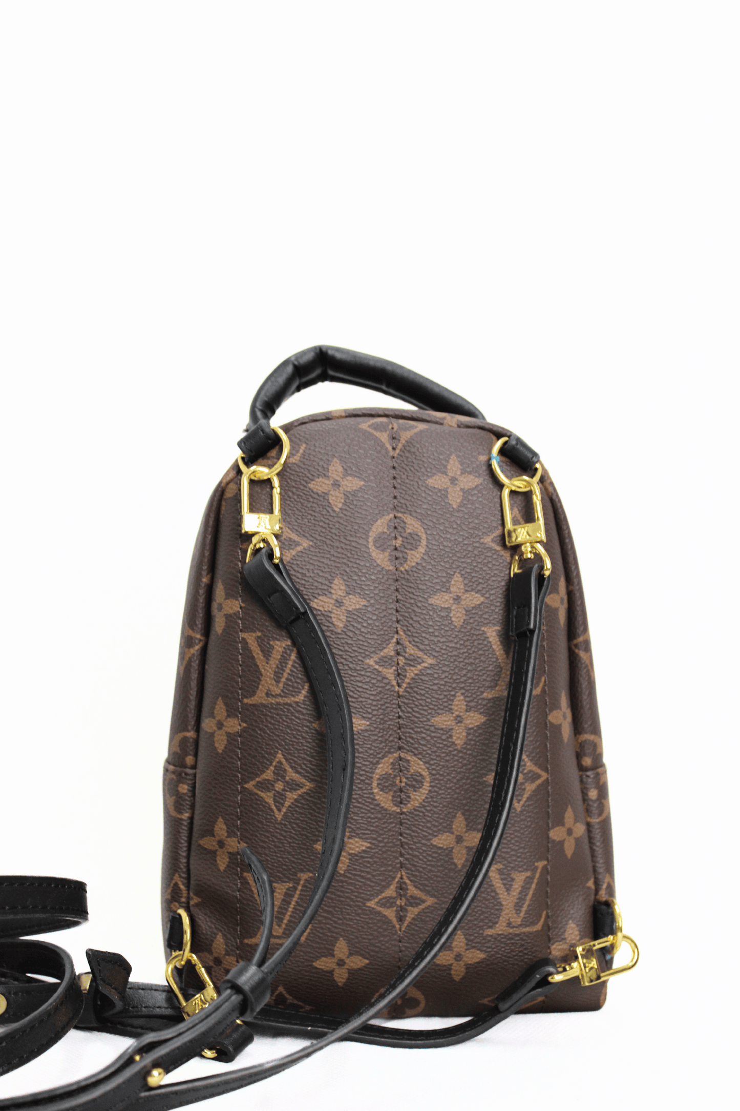 Louis Vuitton Zaino Palm Springs Monogramma PM Marrone