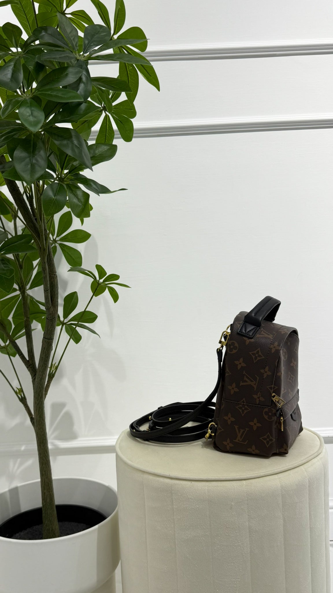 Louis Vuitton Zaino Palm Springs Monogramma PM Marrone