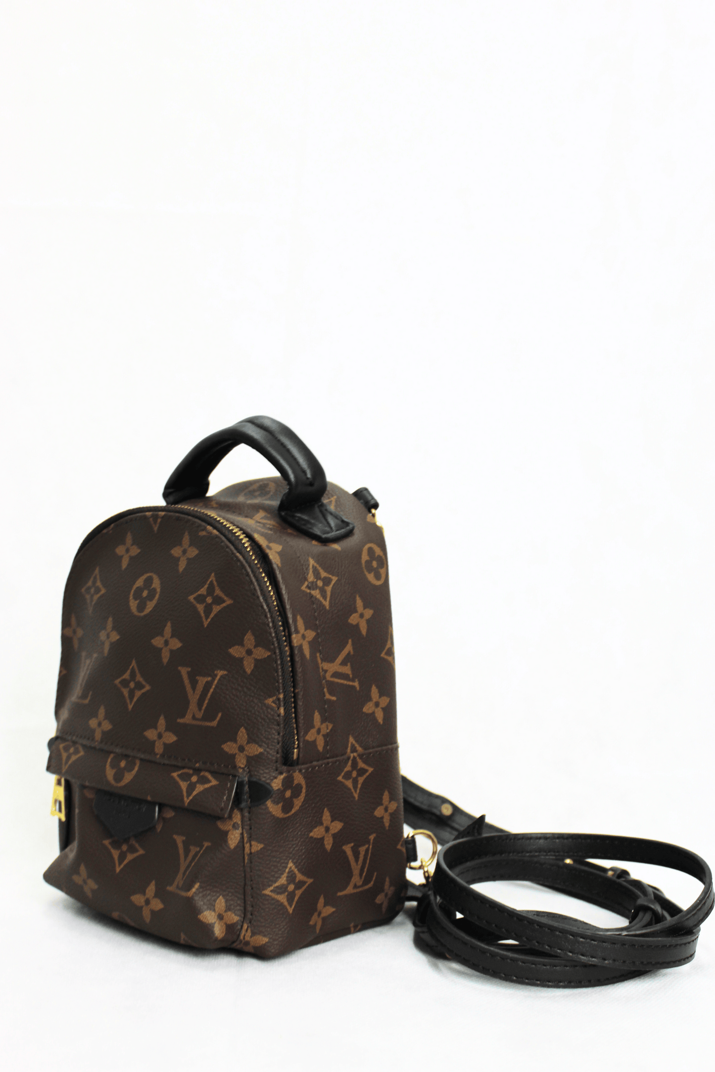Louis Vuitton Zaino Palm Springs Monogramma PM Marrone