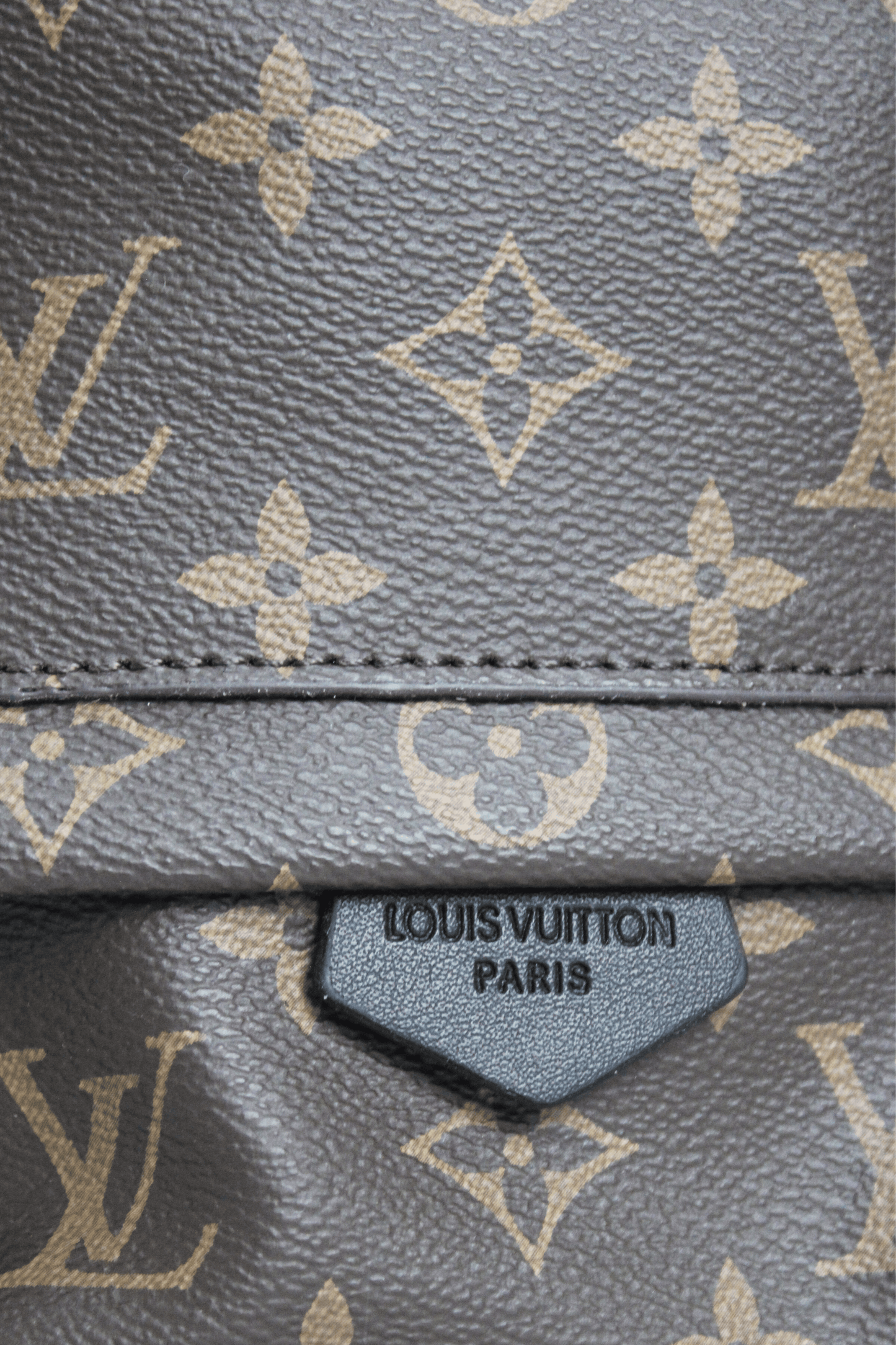 Louis Vuitton Zaino Palm Springs Monogramma PM Marrone