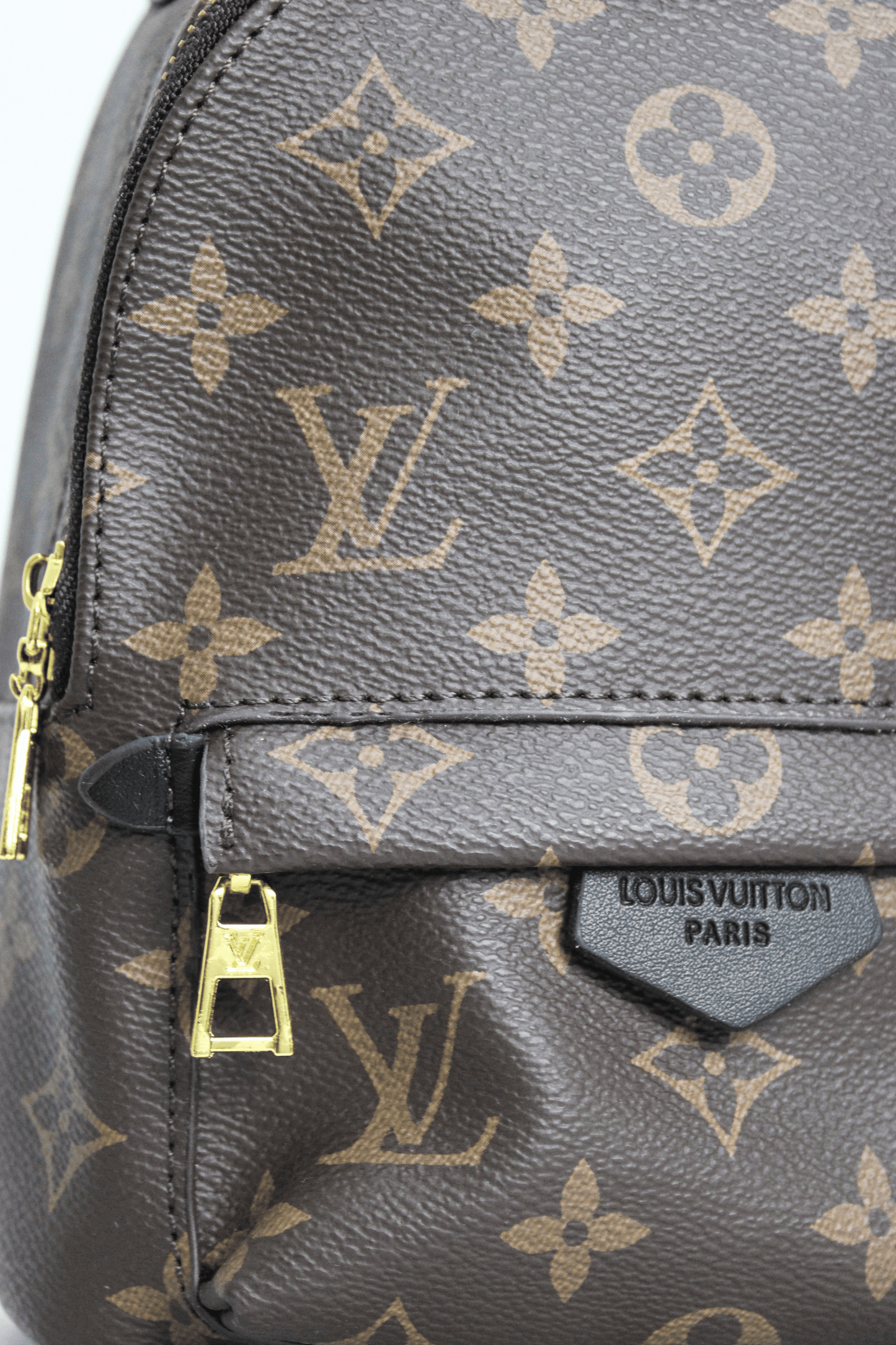 Louis Vuitton Zaino Palm Springs Monogramma PM Marrone