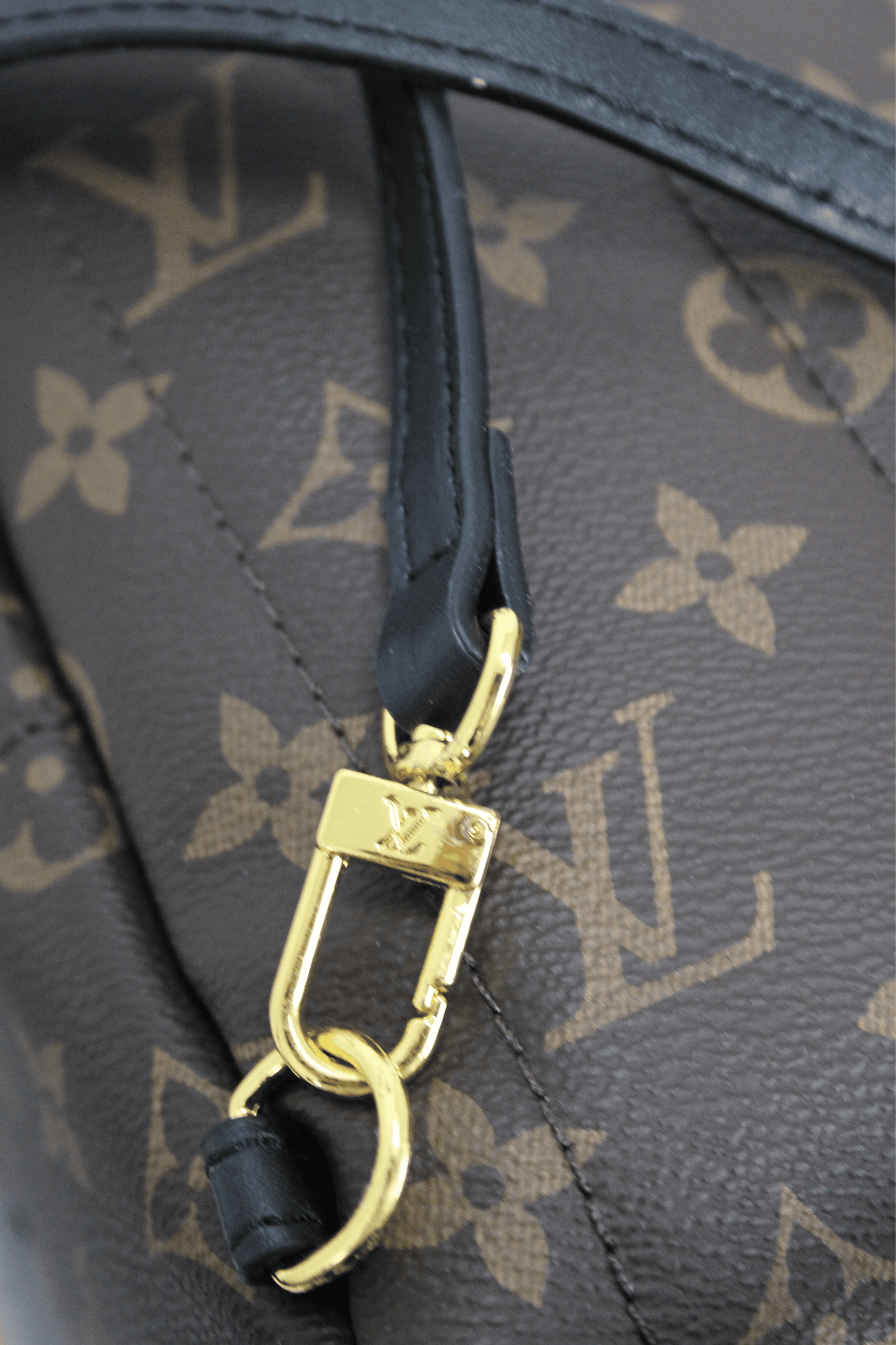 Louis Vuitton Zaino Palm Springs Monogramma PM Marrone