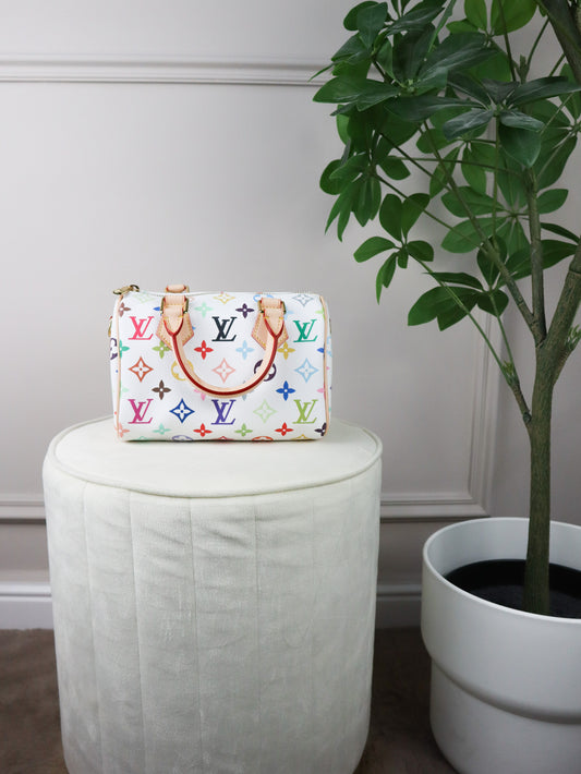 Louis Vuitton x TM Murakami