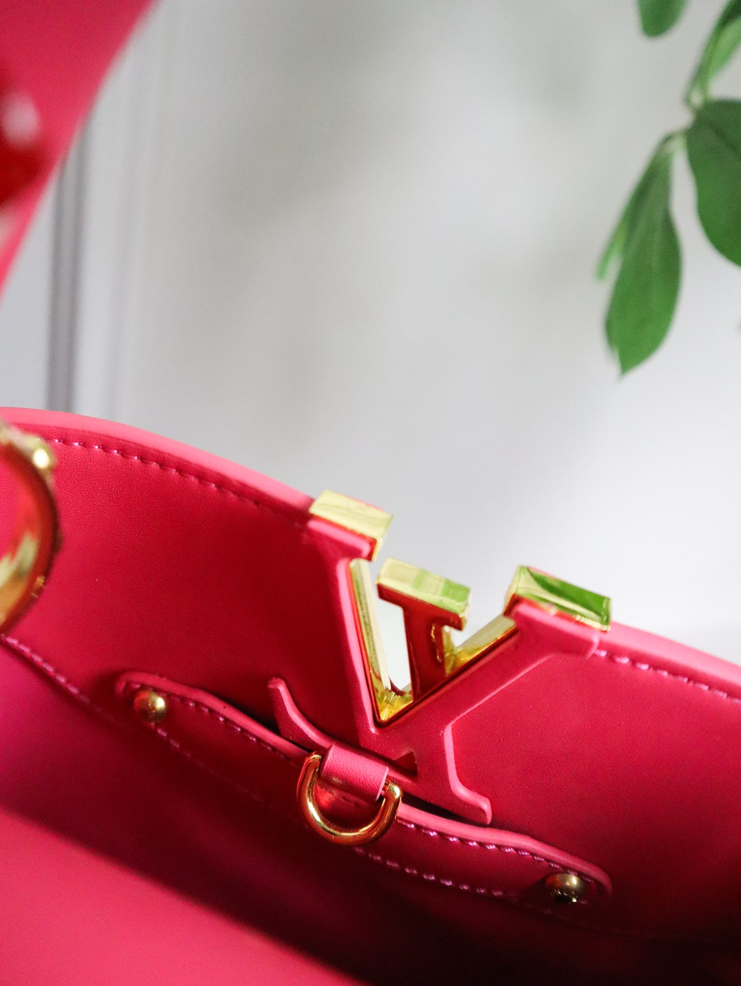 Louis Vuitton Borsa Capucines fucsia