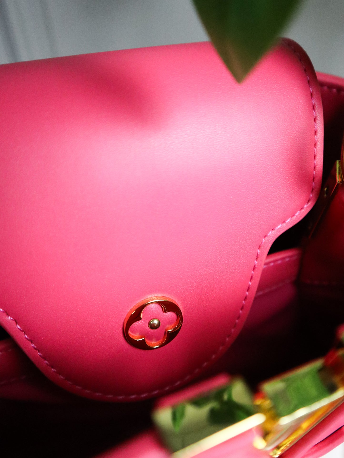 Louis Vuitton Borsa Capucines fucsia