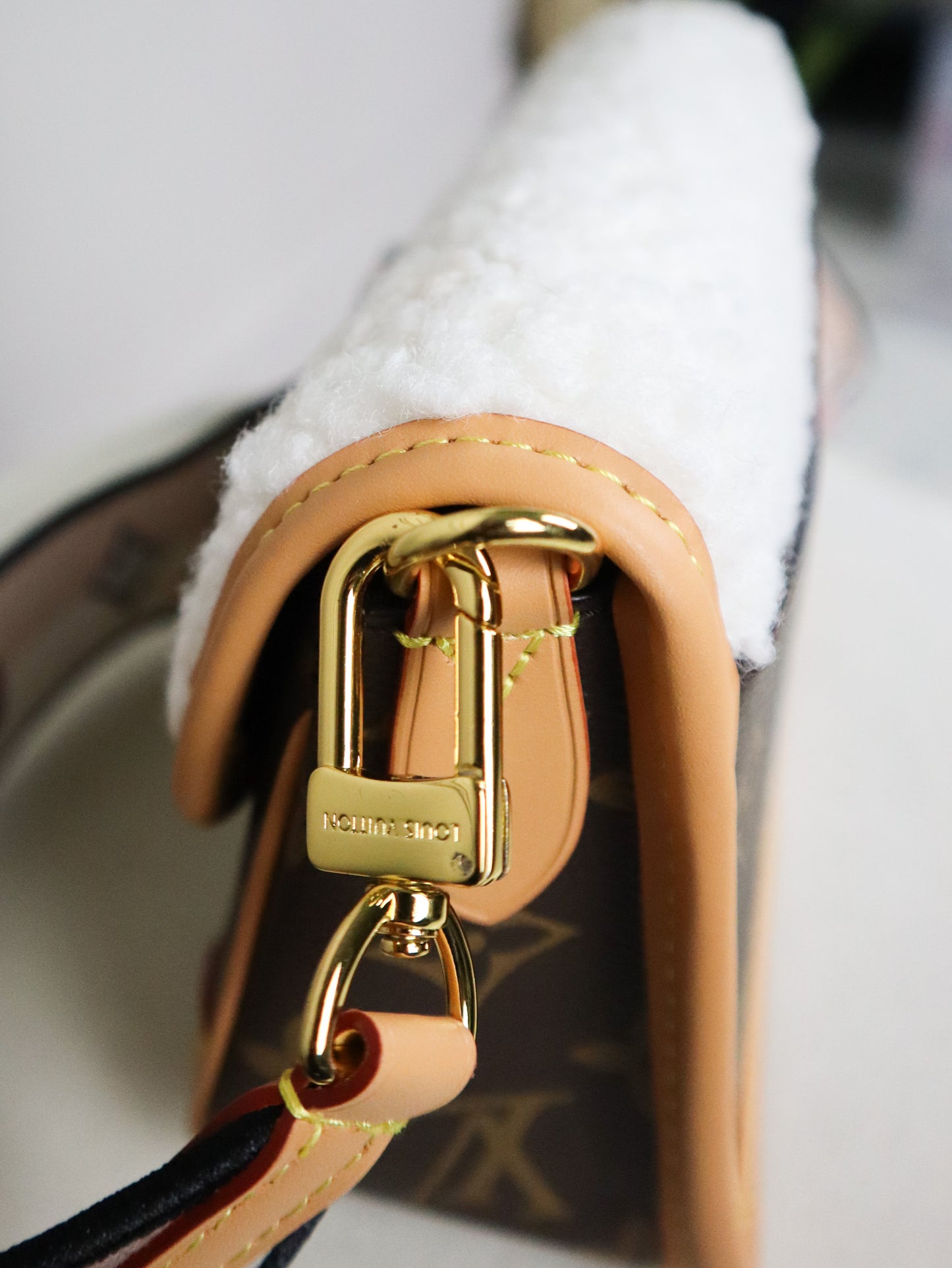 Louis Vuitton Borsa Diane NM PM Monogramma