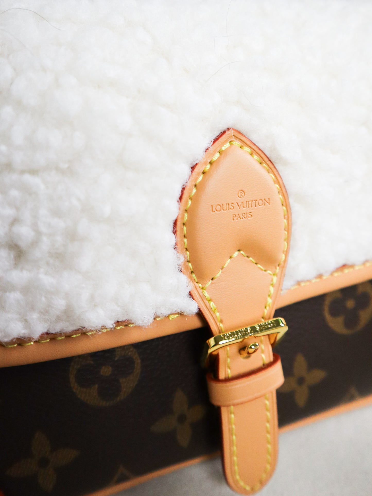 Louis Vuitton Borsa Diane NM PM Monogramma