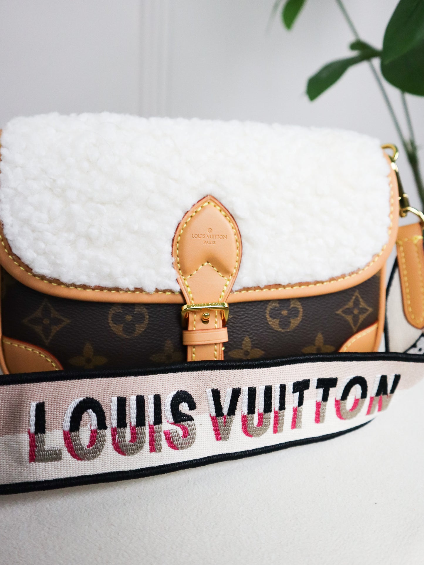 Louis Vuitton Borsa Diane NM PM Monogramma