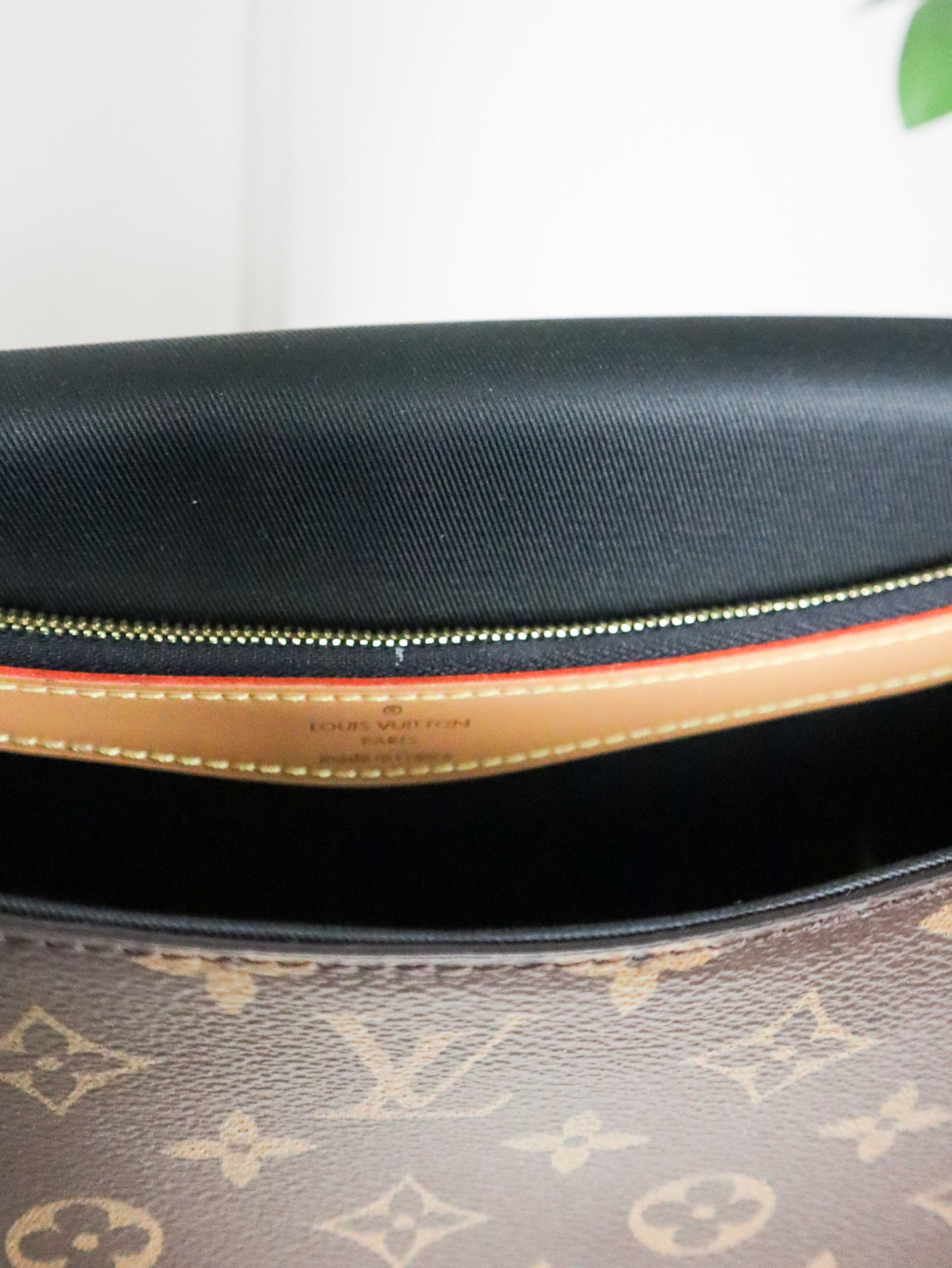 Louis Vuitton Borsa Diane Tela Monogram